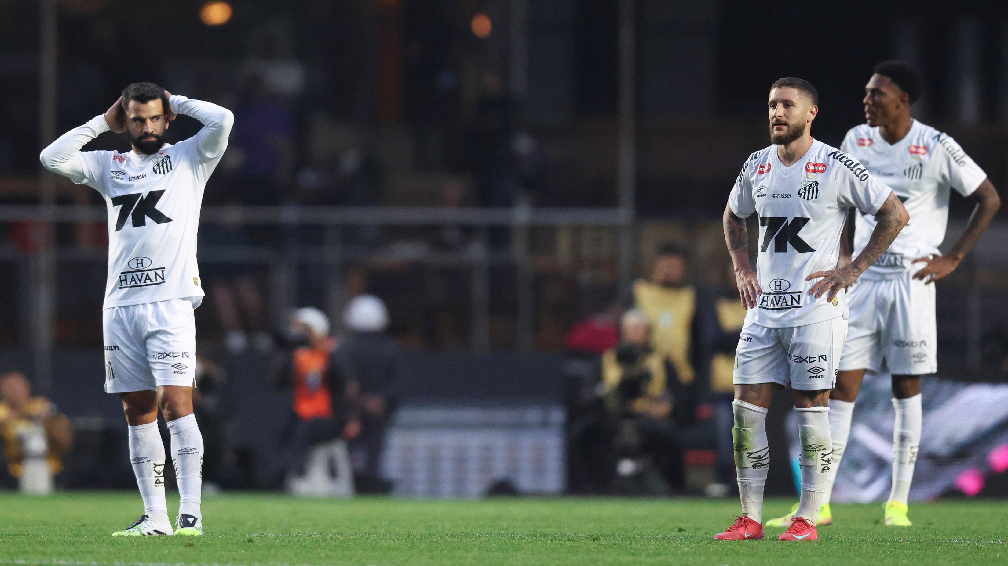 Santos v Vasco Da Gama - Brasileirao 2025