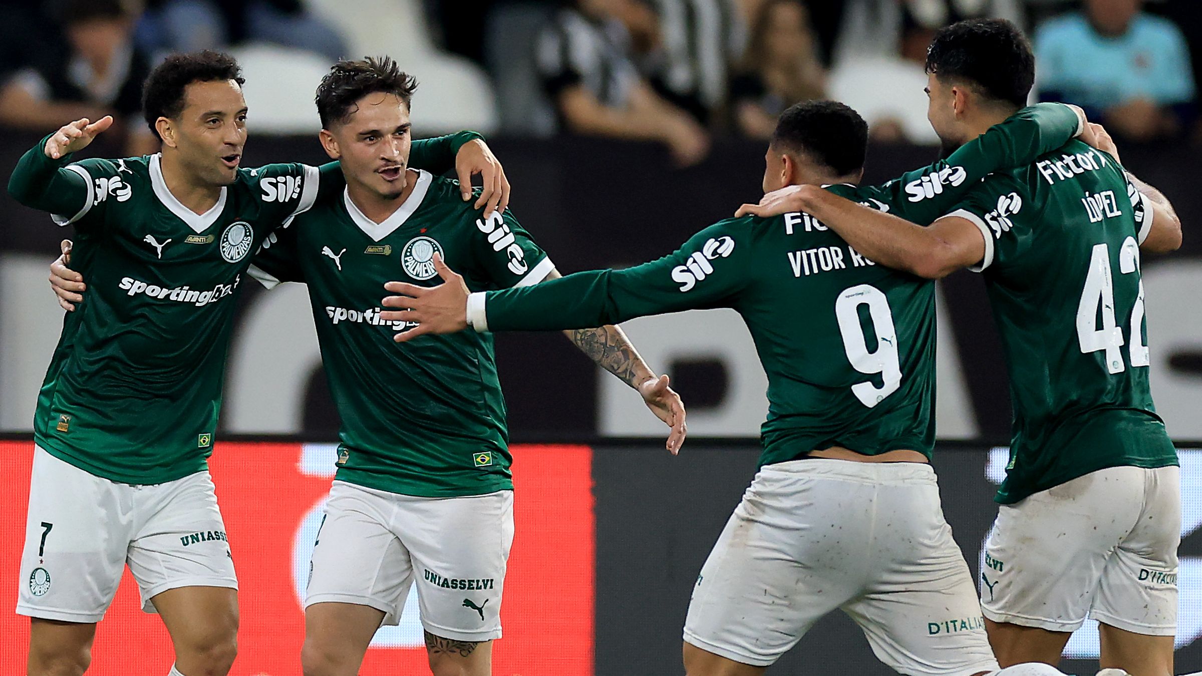 Botafogo v Palmeiras - Brasileirao 2025