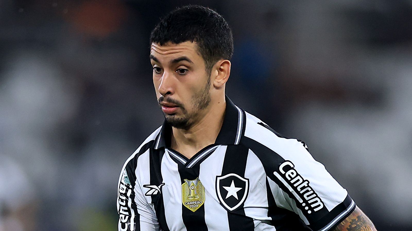 Botafogo v Palmeiras - Brasileirao 2025