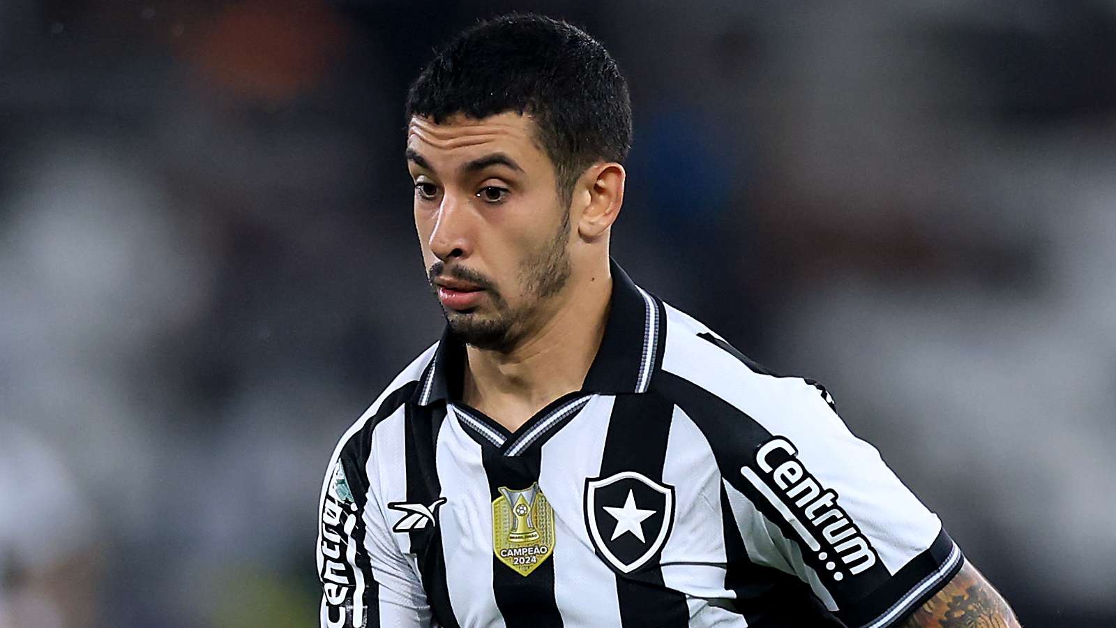 Botafogo v Palmeiras - Brasileirao 2025