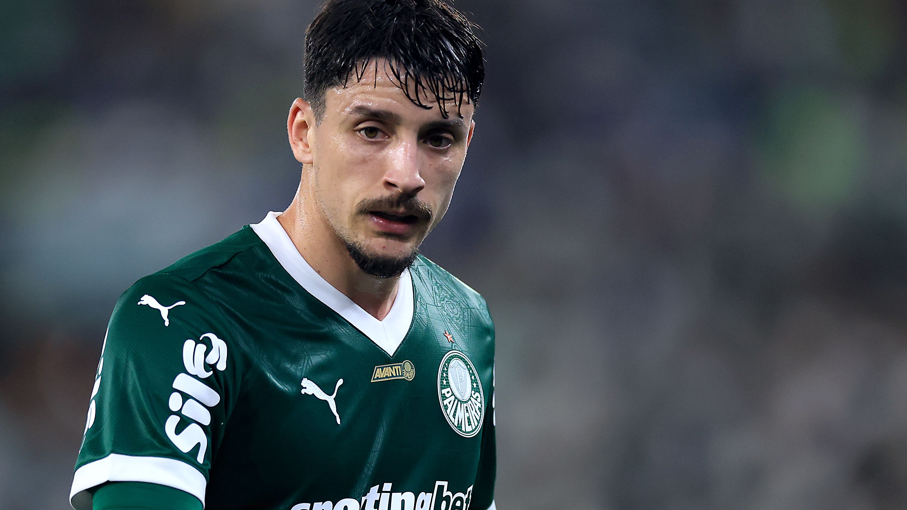 Botafogo v Palmeiras - Brasileirao 2025