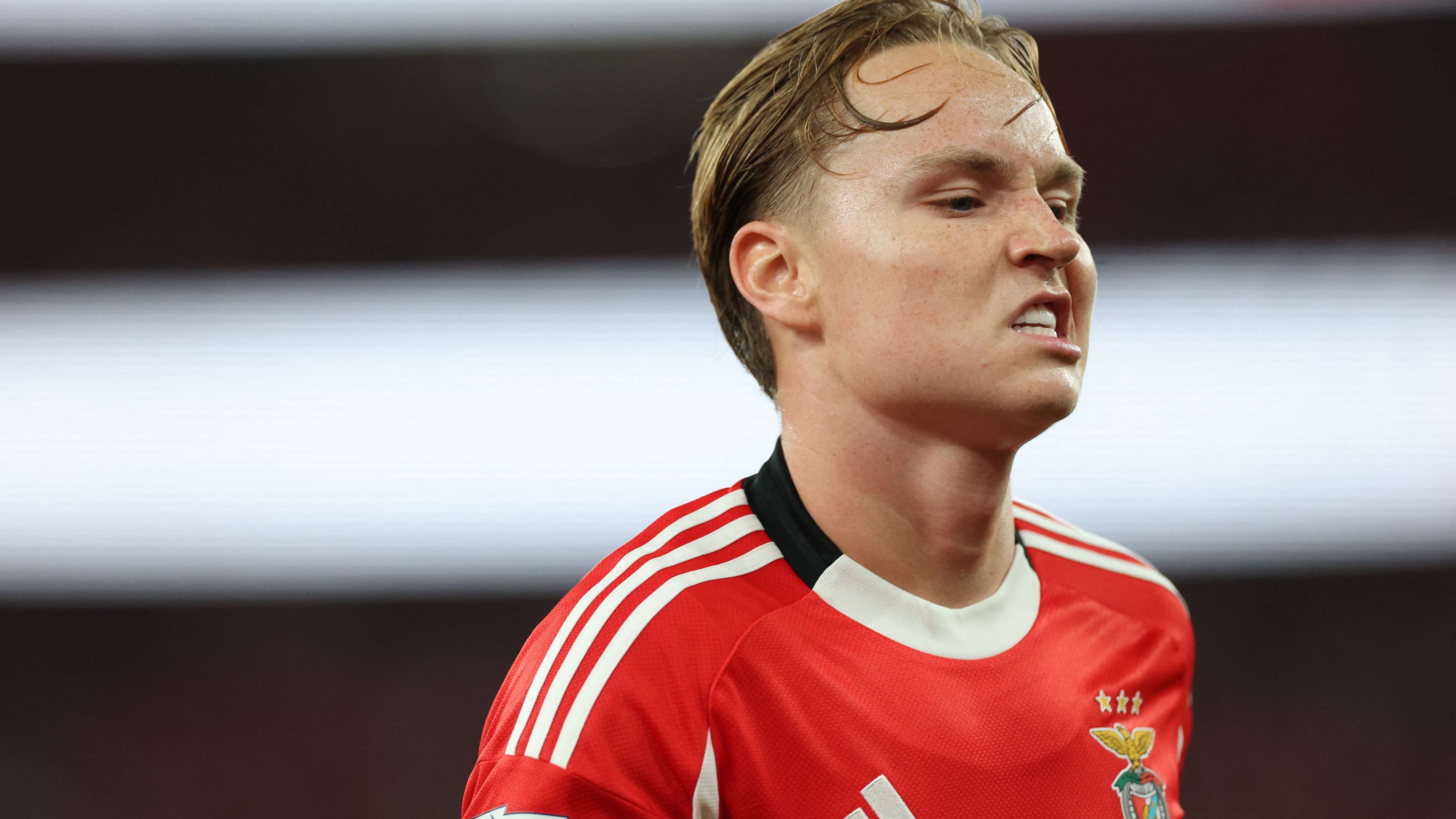 FBL-POR-LIGA-BENFICA-TONDELA