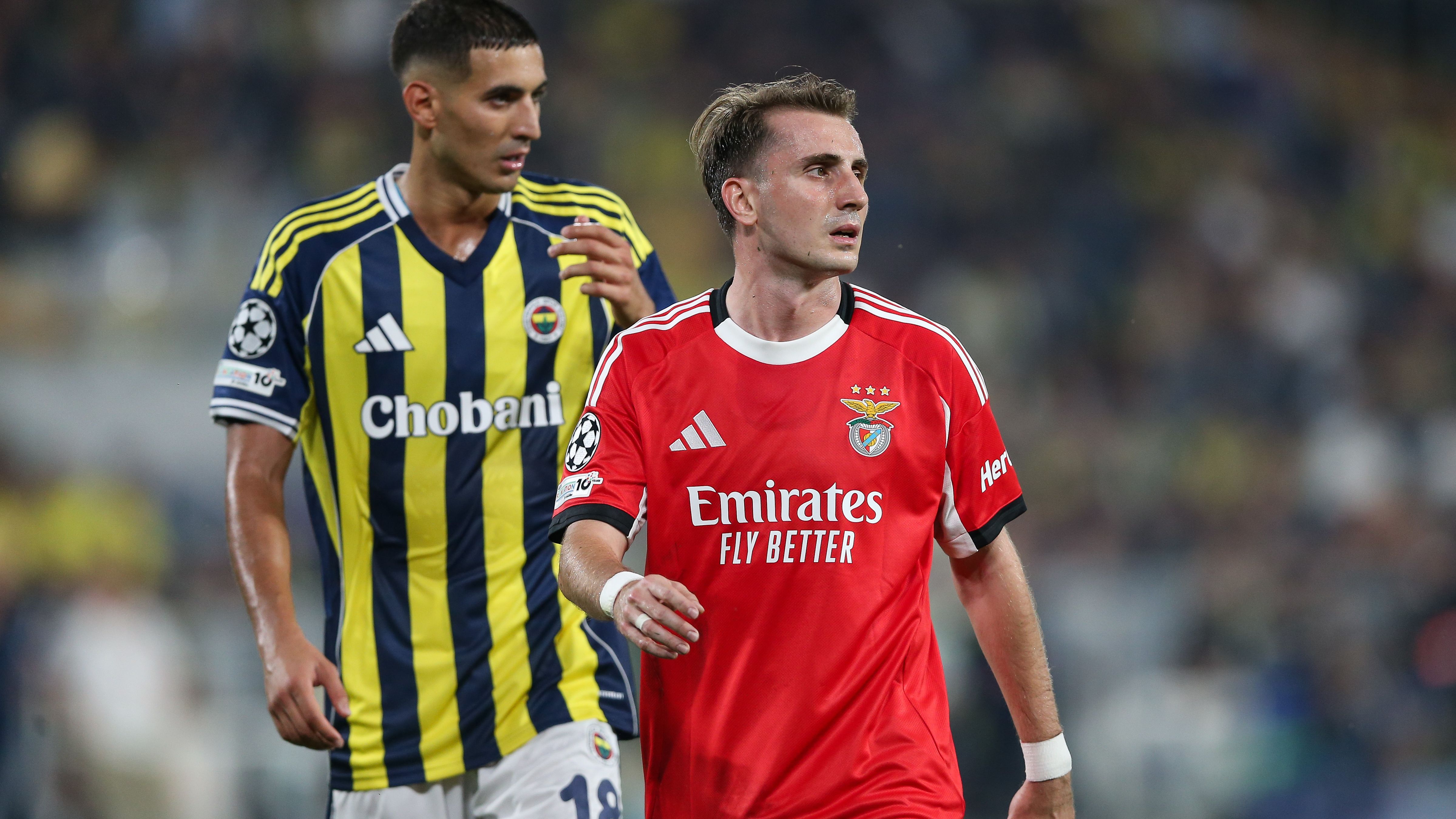 Fenerbahce v Benfica - UEFA Champions League Play Off 1st Leg