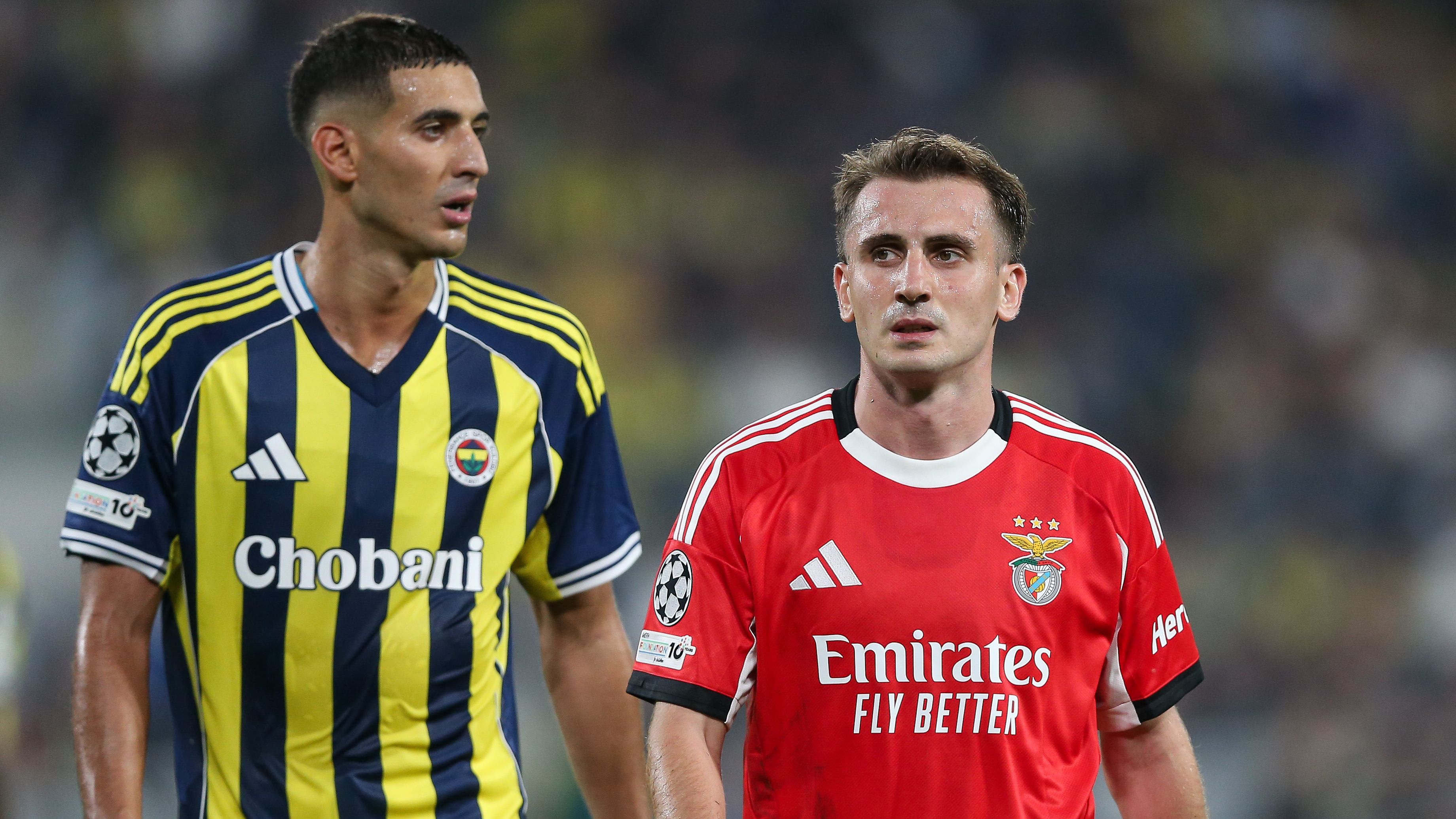 Fenerbahce v Benfica - UEFA Champions League Play Off 1st Leg