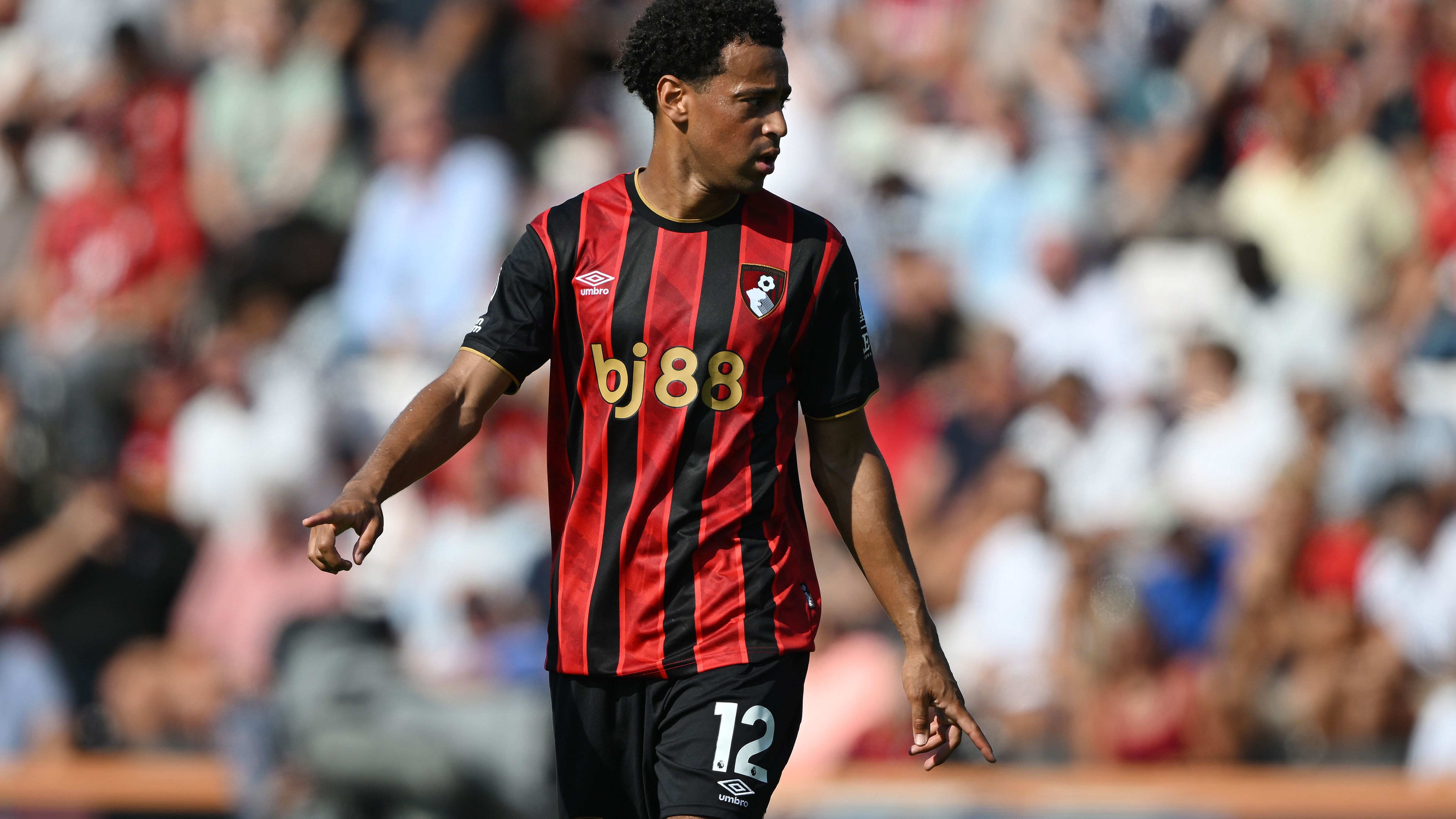 Bournemouth v Wolverhampton Wanderers - Premier League