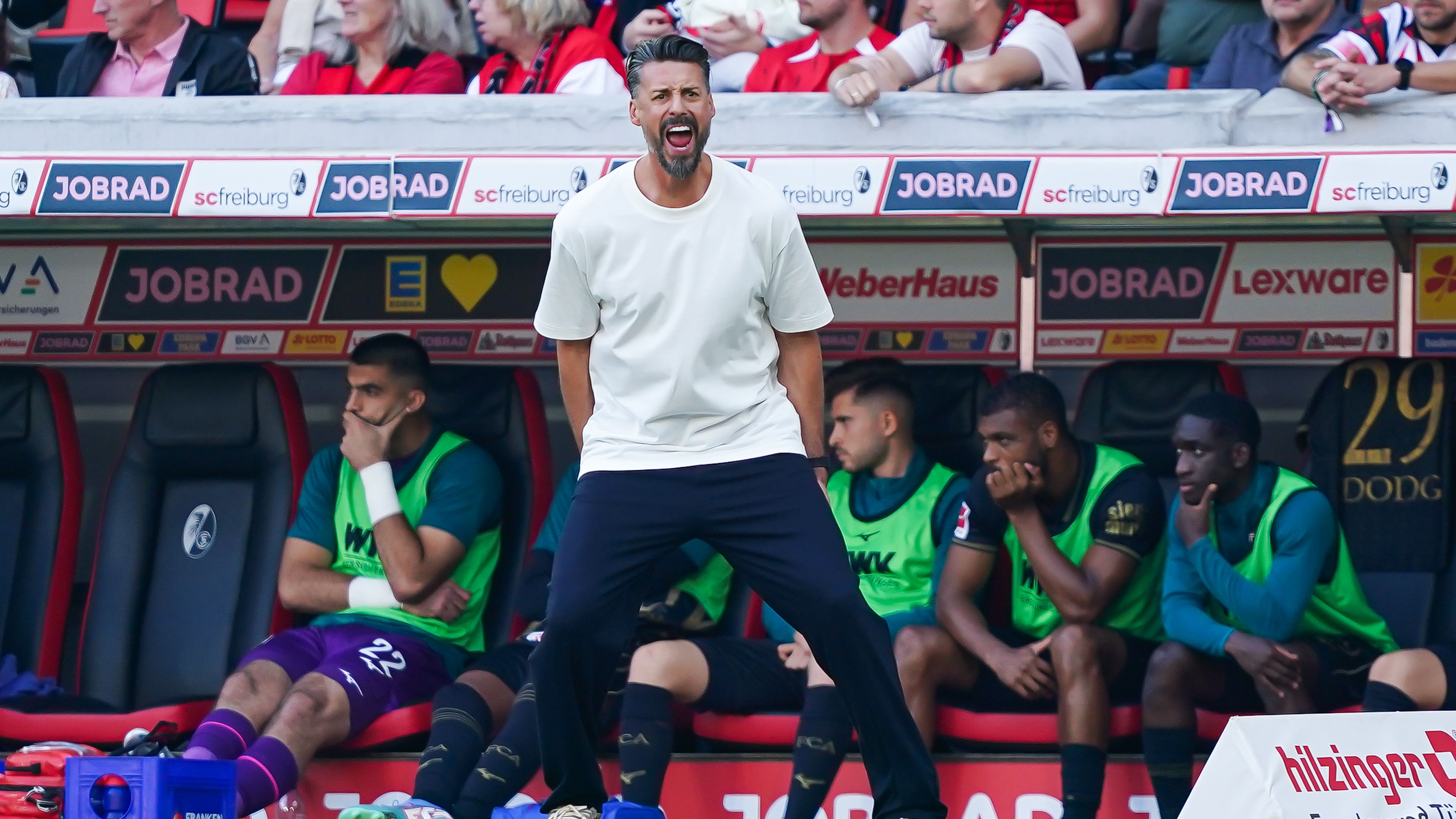 Sport-Club Freiburg v FC Augsburg - Bundesliga