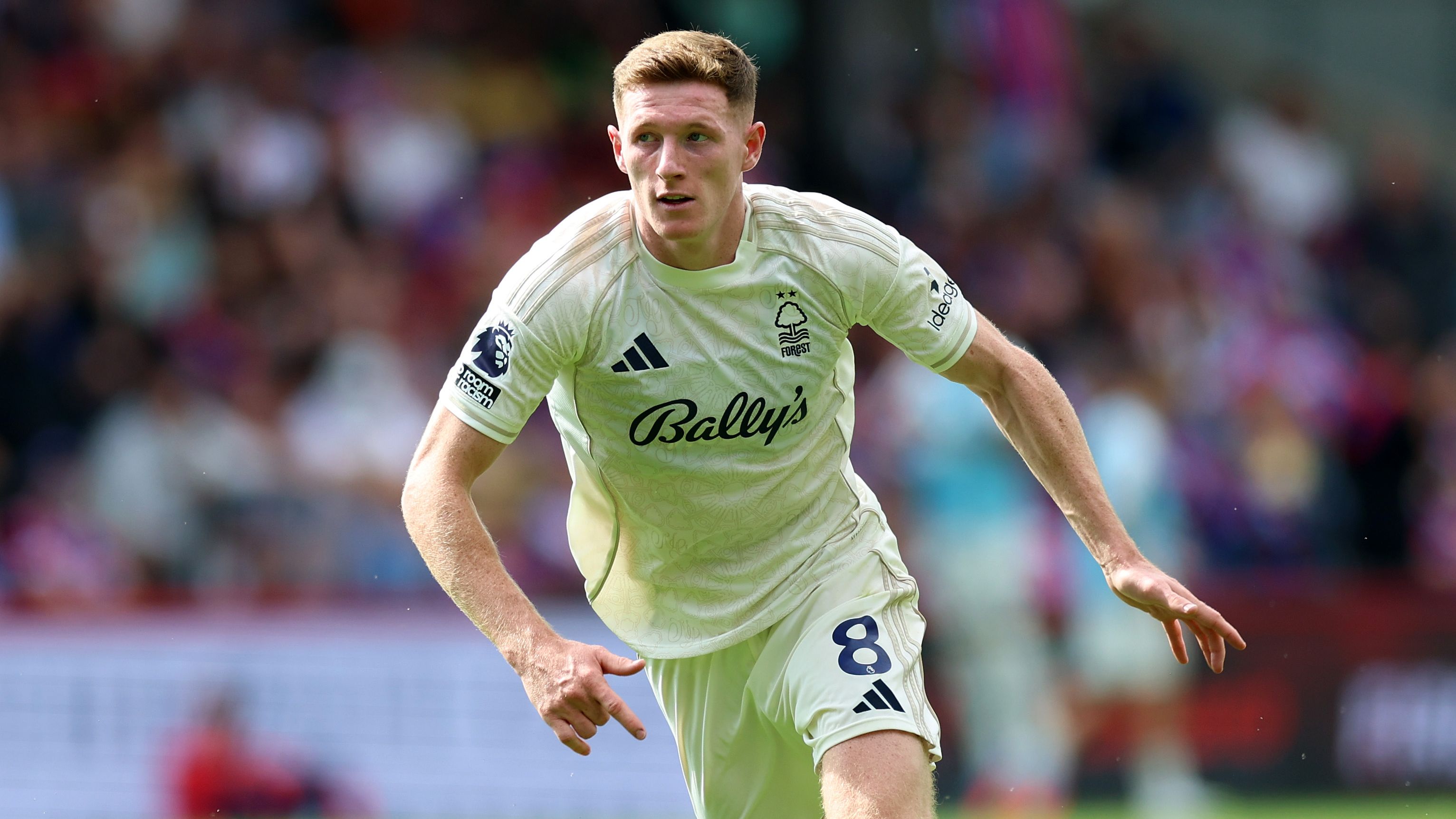 Crystal Palace v Nottingham Forest - Premier League