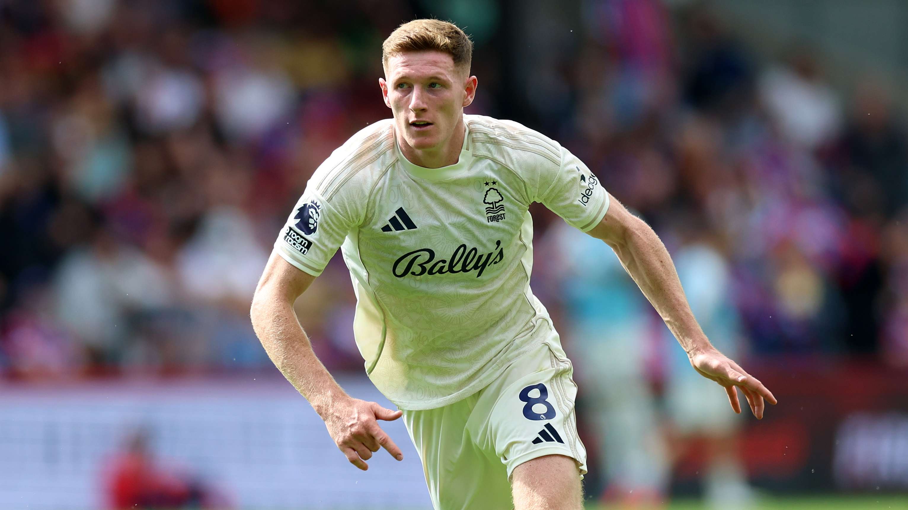 Crystal Palace v Nottingham Forest - Premier League