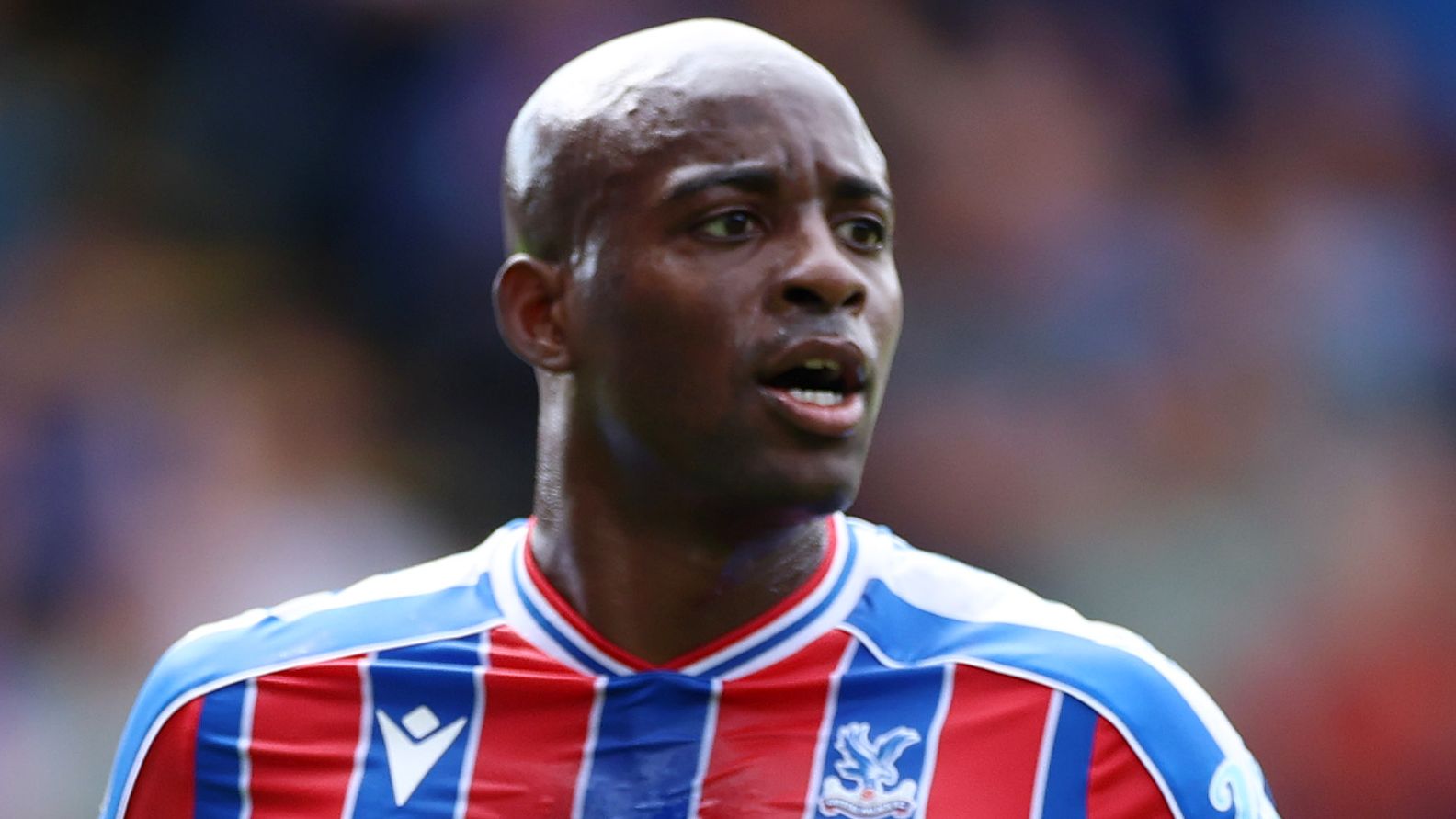 Crystal Palace v Nottingham Forest - Premier League