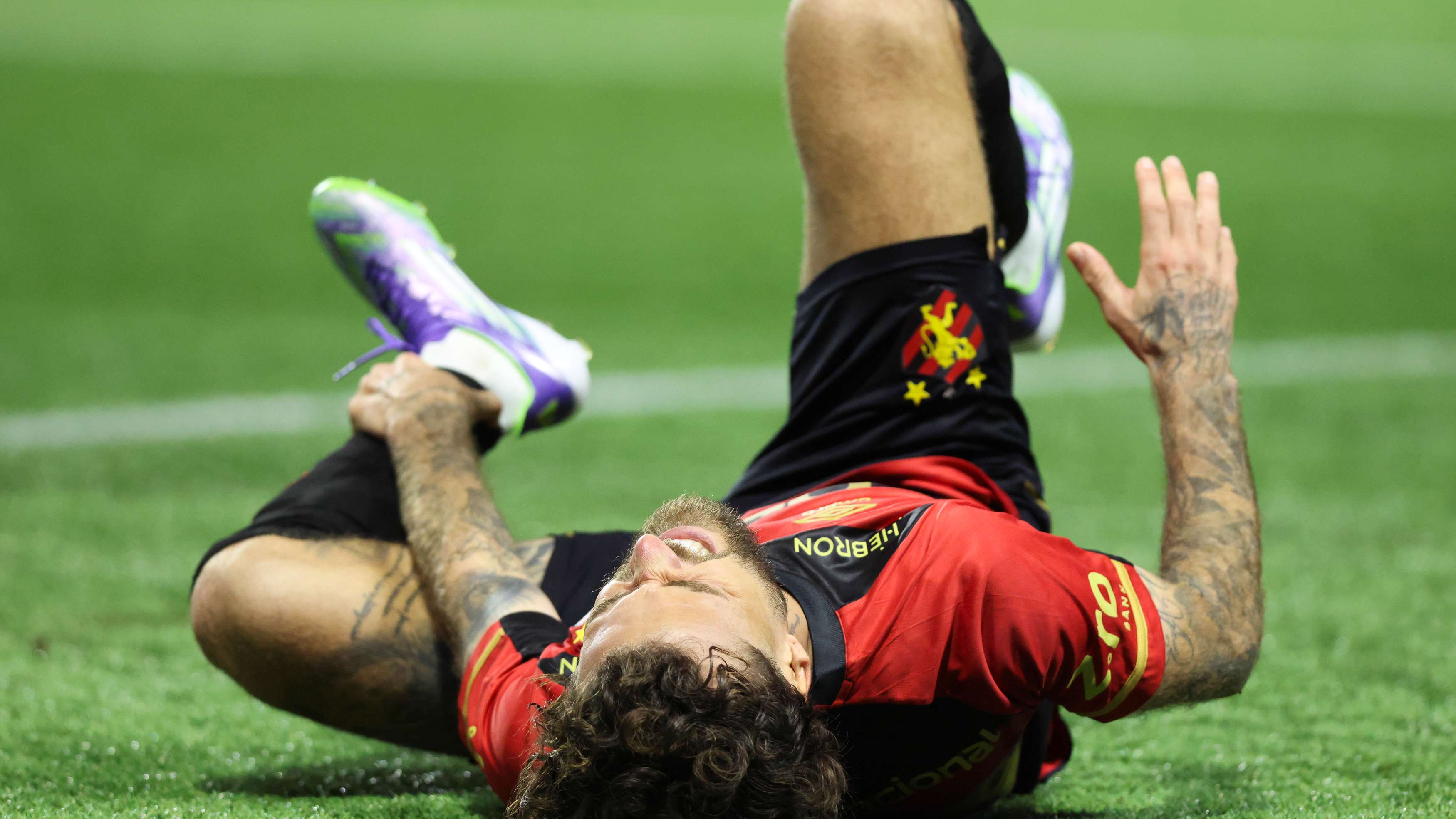 Palmeiras v Sport Recife - Brasileirao 2025