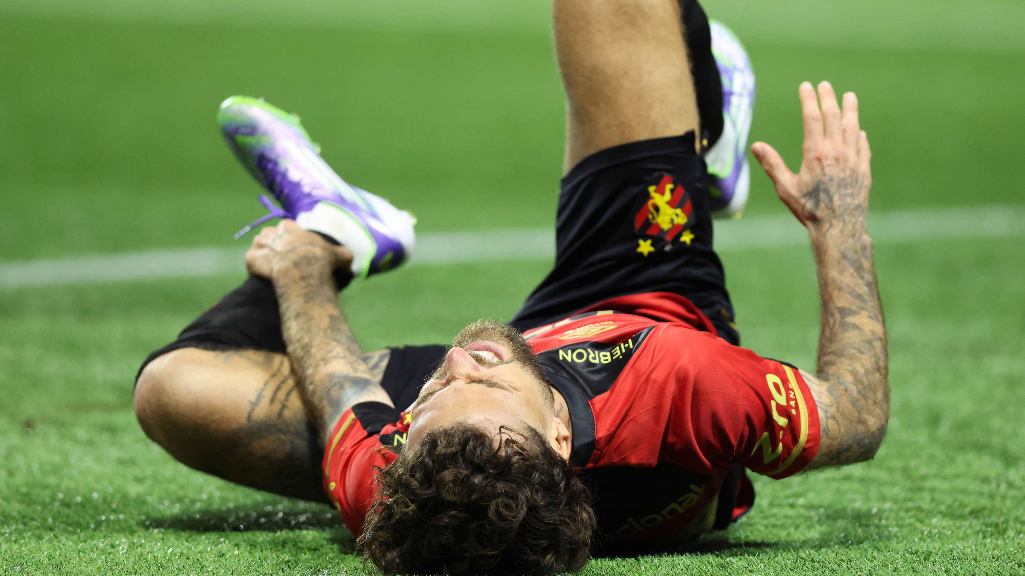 Palmeiras v Sport Recife - Brasileirao 2025