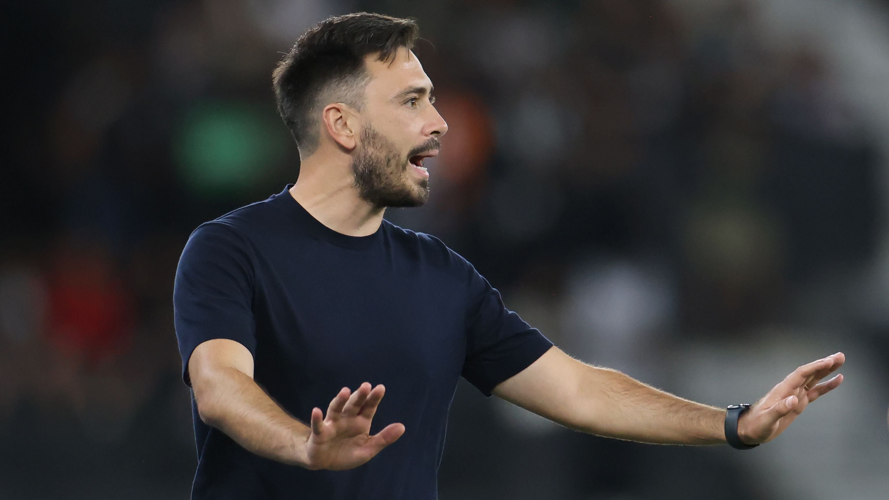 Botafogo v Bragantino - Brasileirao 2025