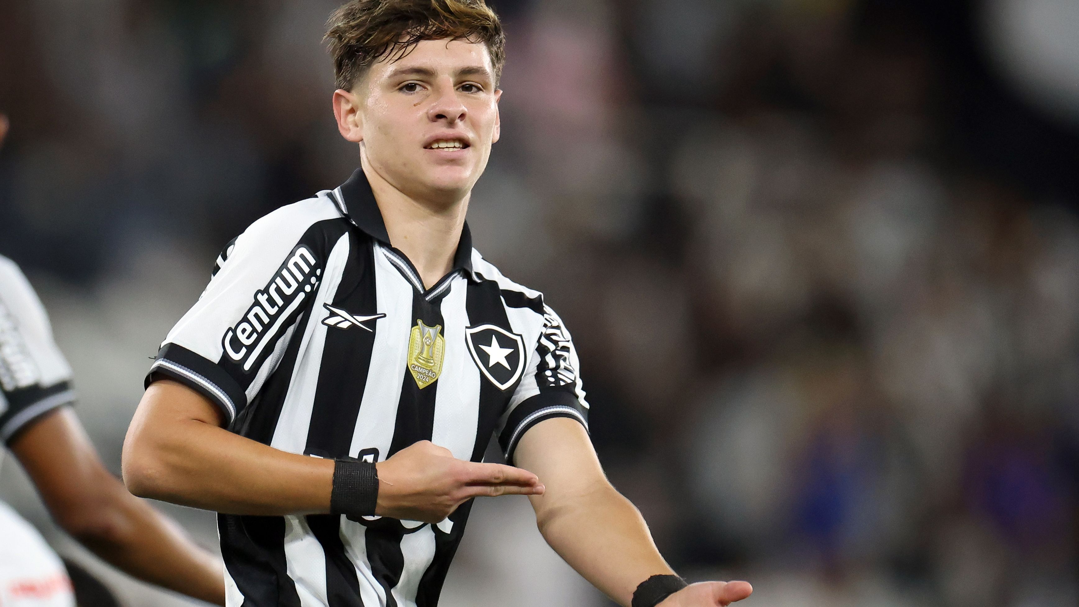 Botafogo v Bragantino - Brasileirao 2025