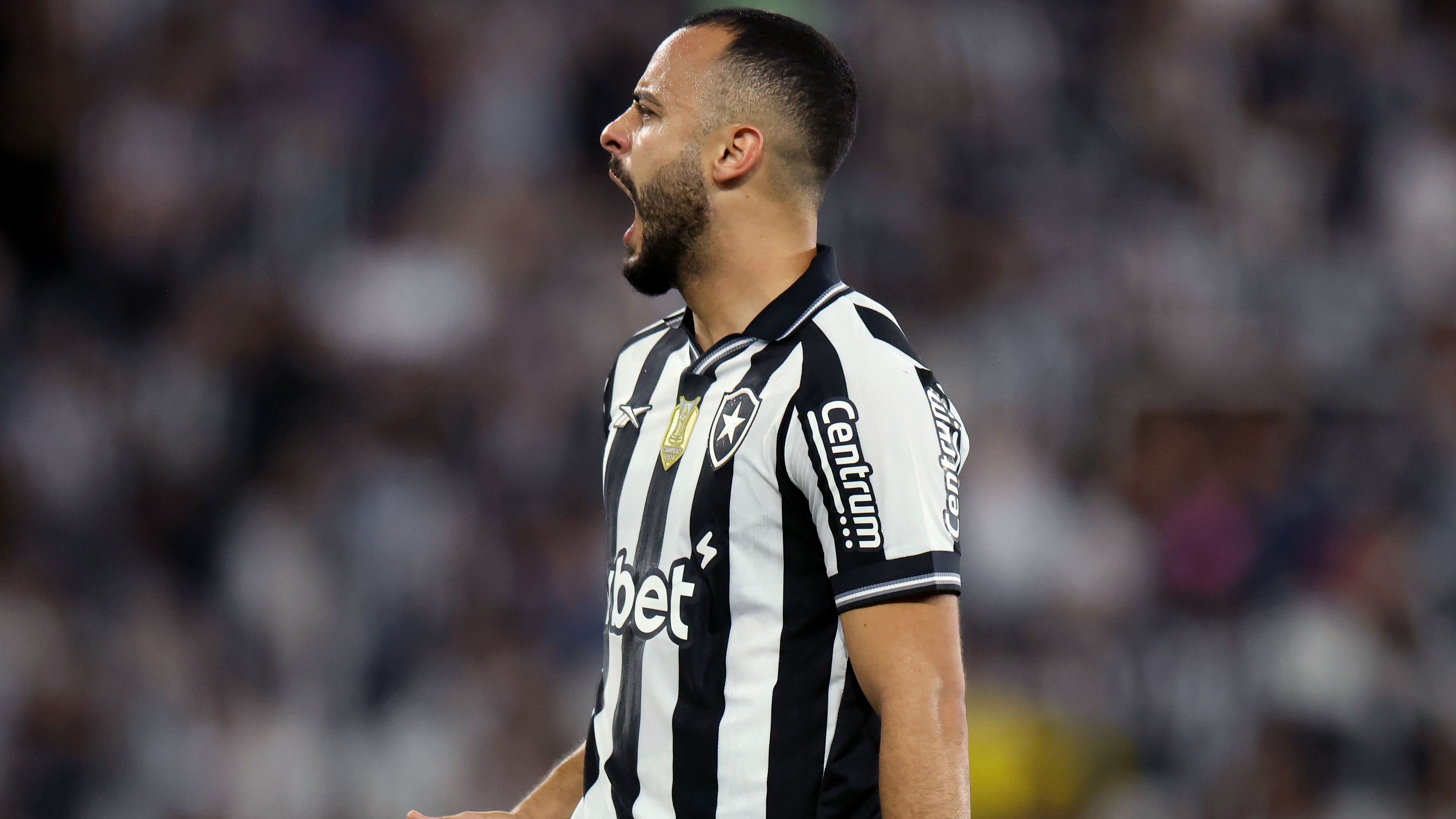 Botafogo v Bragantino - Brasileirao 2025