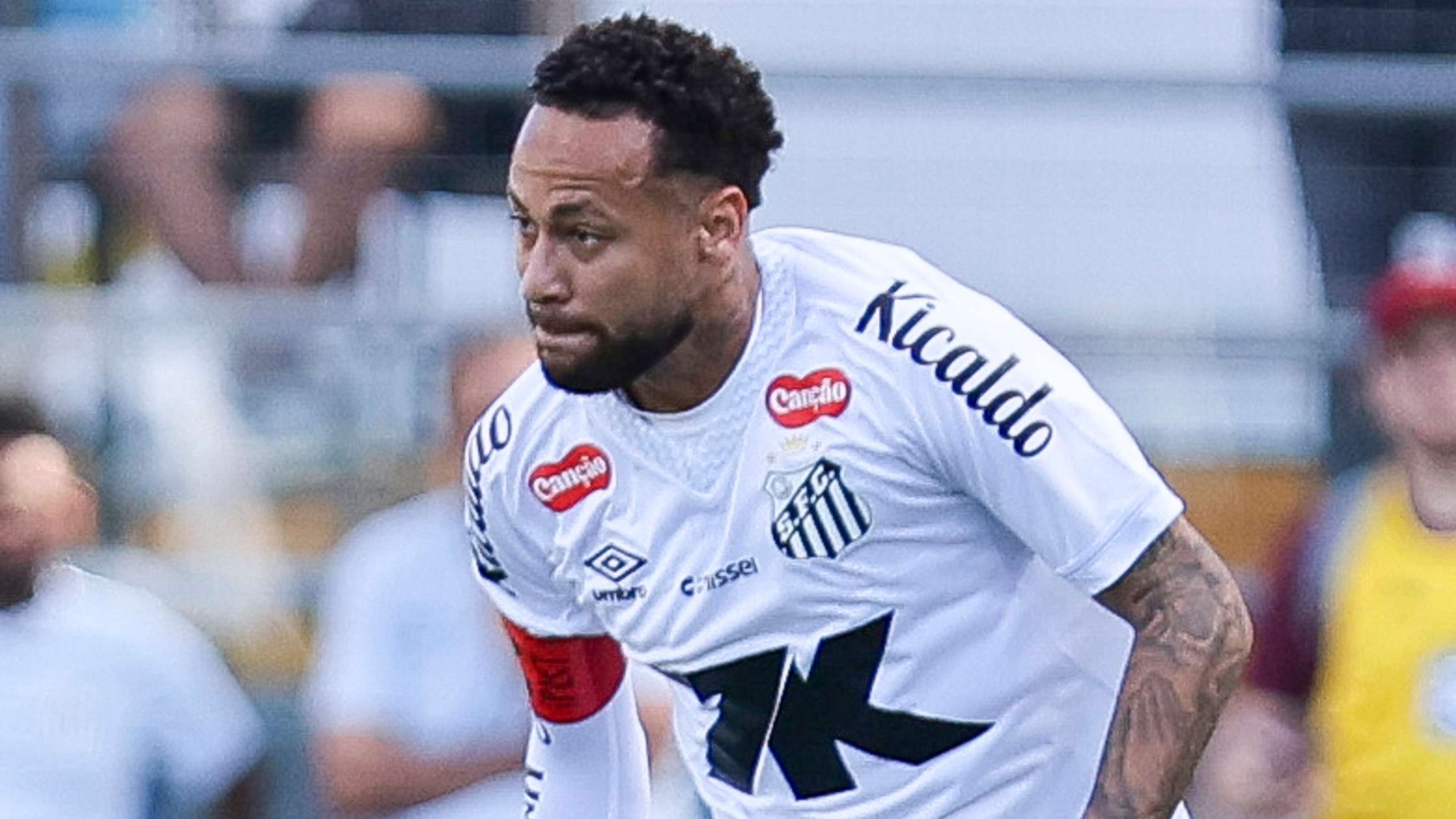 Santos v Fluminense - Brasileirao 2025