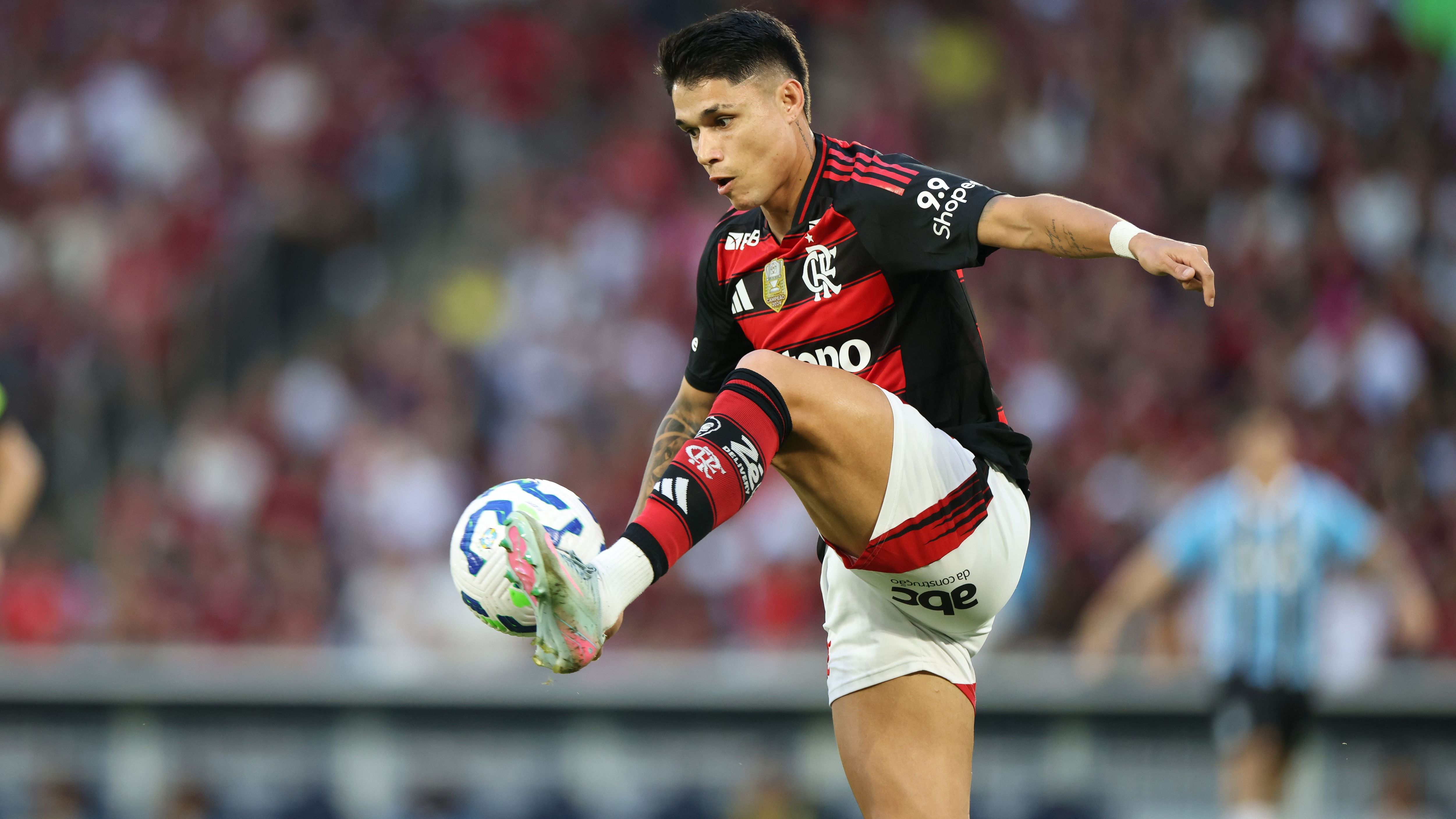 Flamengo v Gremio - Brasileirao 2025