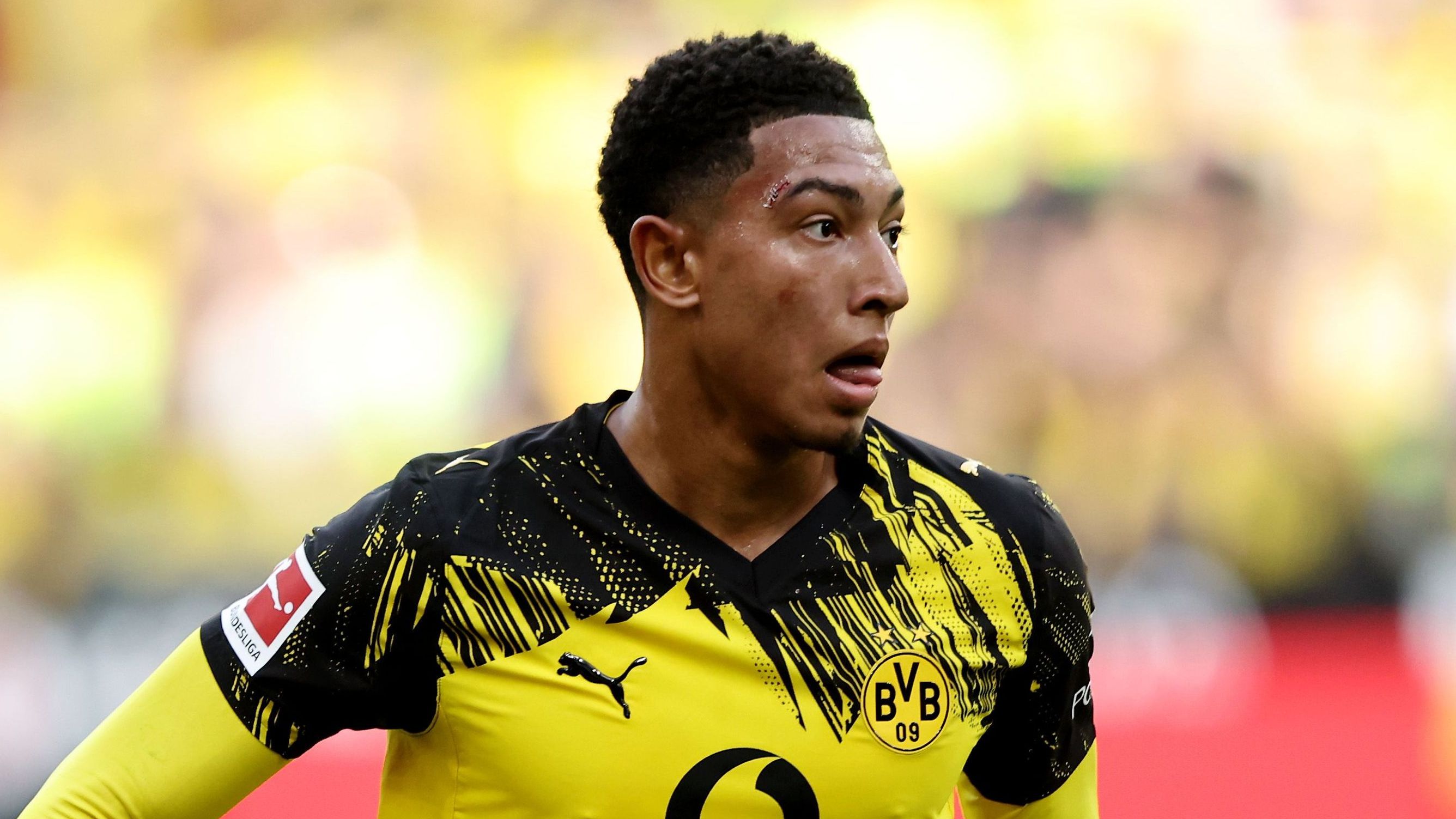 Borussia Dortmund v 1. FC Union Berlin - Bundesliga