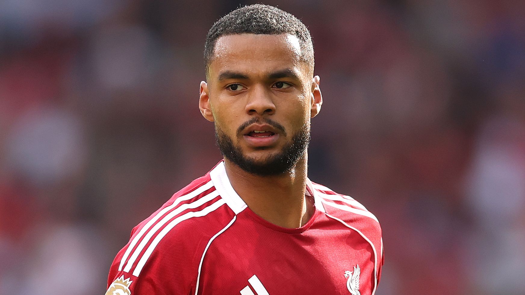 Liverpool v Arsenal - Premier League