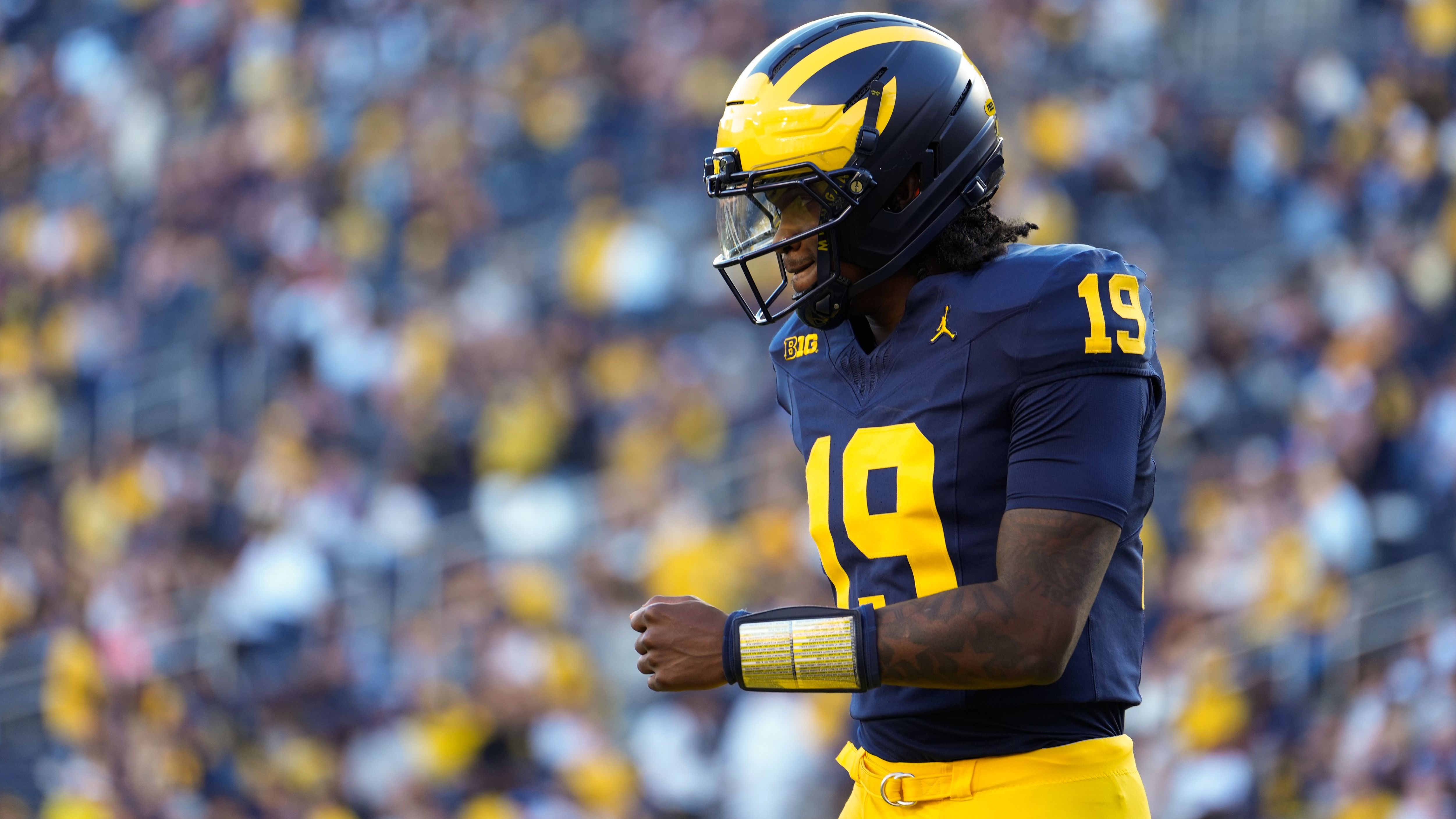 New Mexico v Michigan