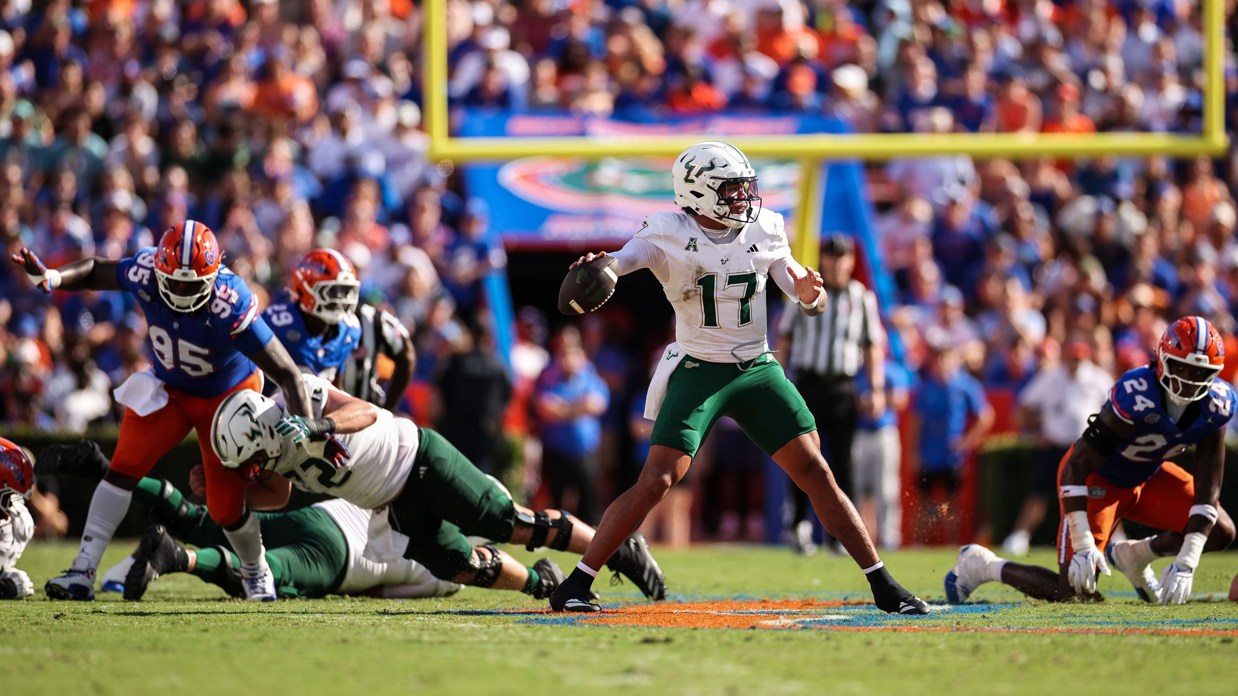 USF v Florida