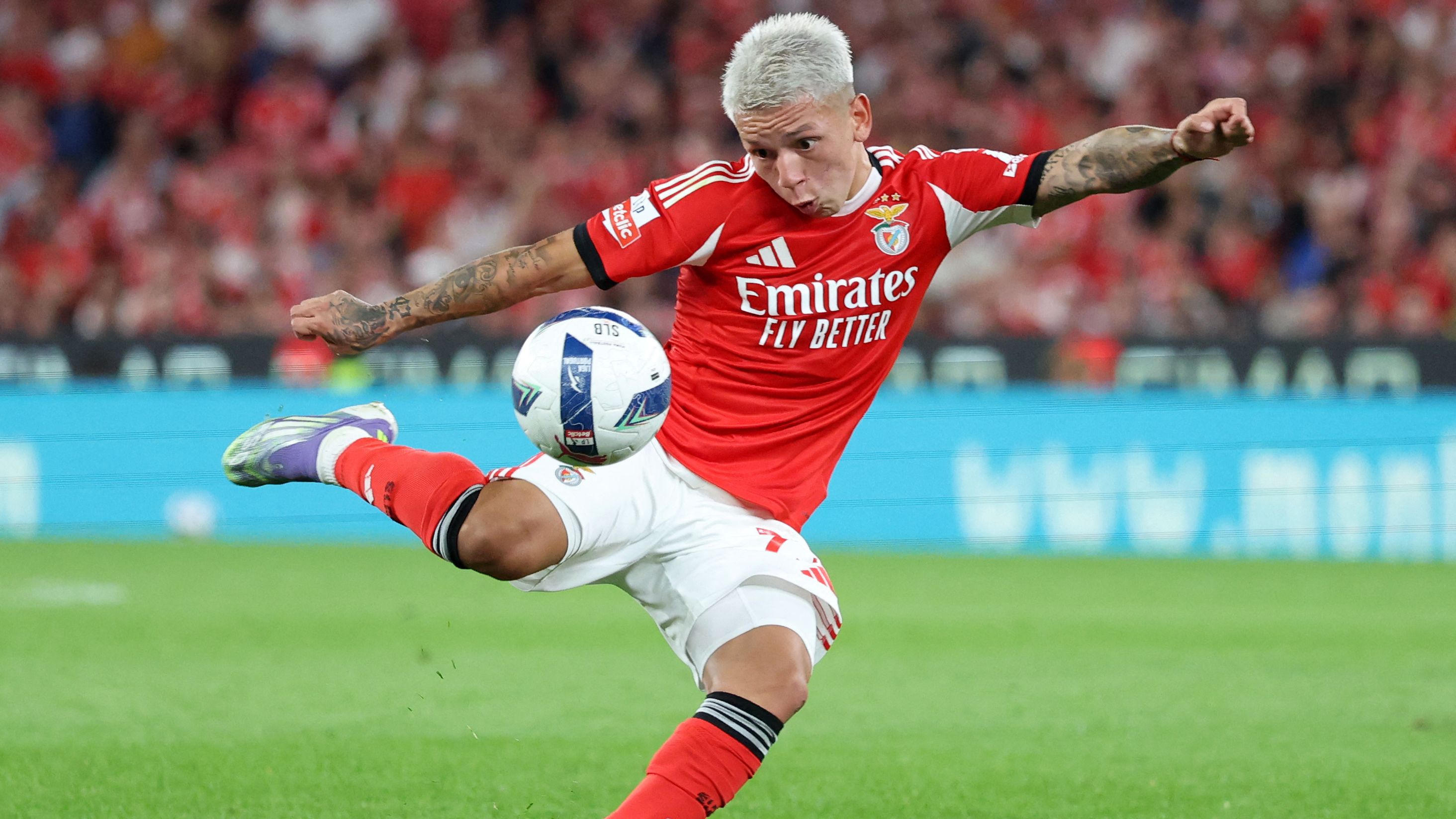 FBL-POR-LIGA-BENFICA-SANTA CLARA