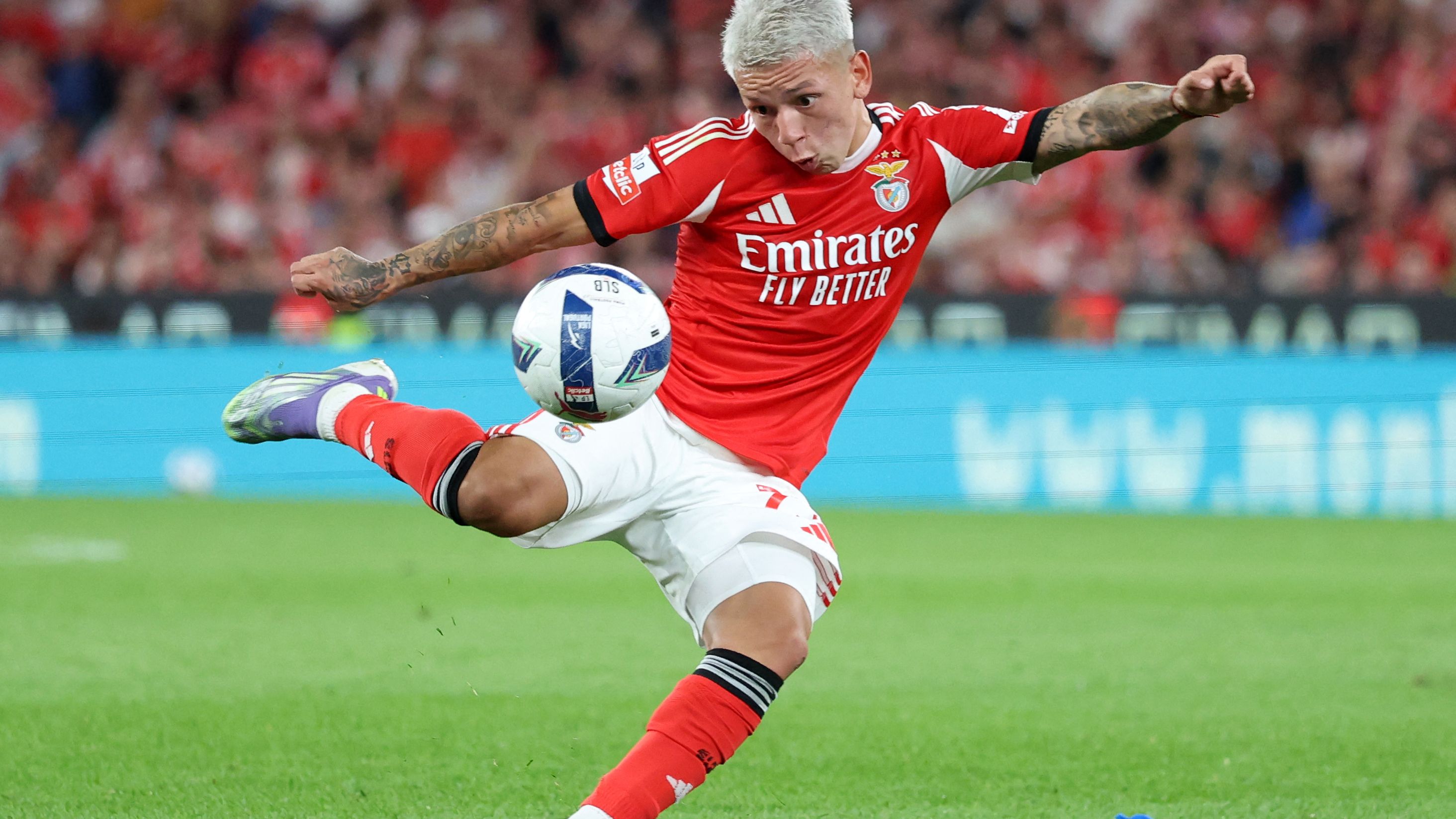 FBL-POR-LIGA-BENFICA-SANTA CLARA