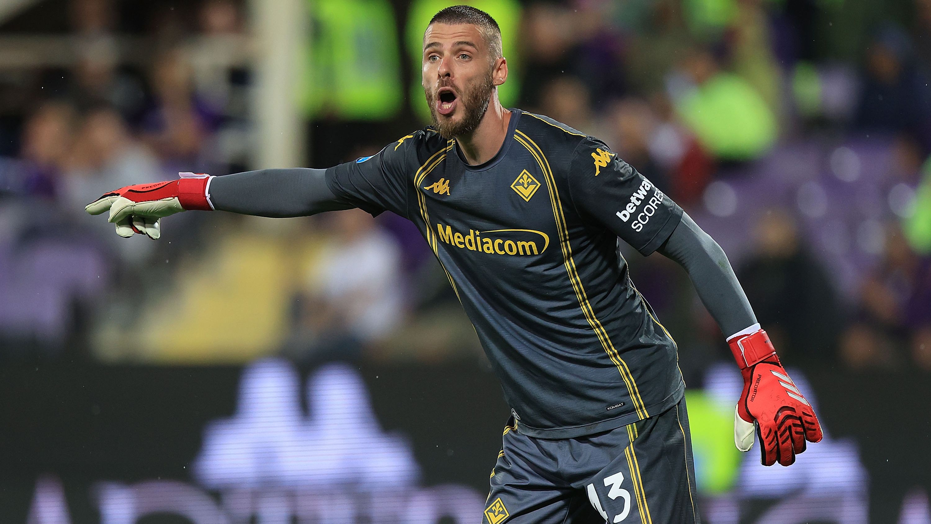 ACF Fiorentina v SSC Napoli - Serie A