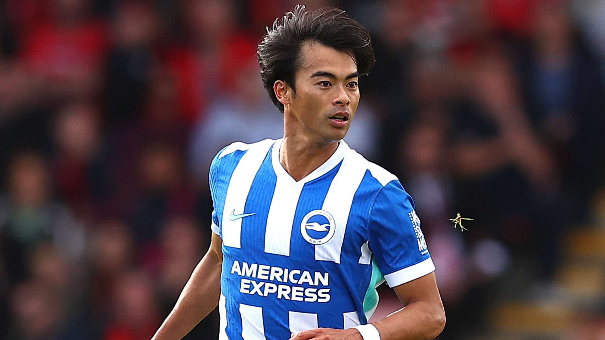 Bournemouth v Brighton & Hove Albion - Premier League