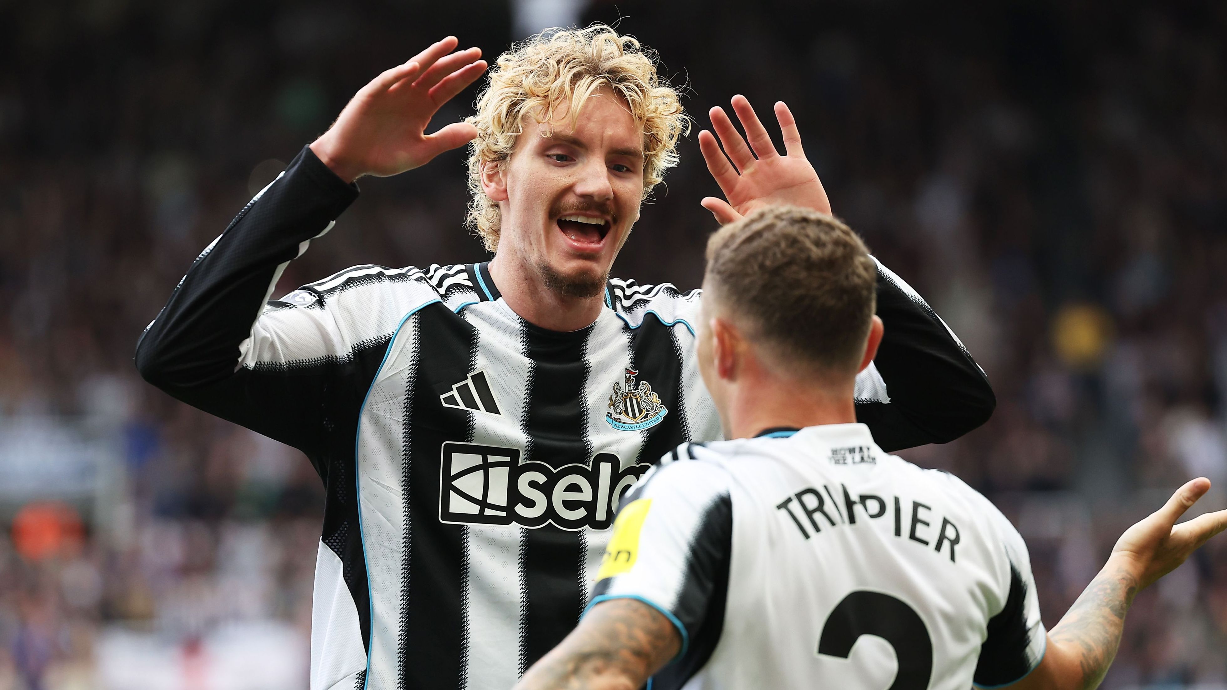 Newcastle United v Wolverhampton Wanderers - Premier League