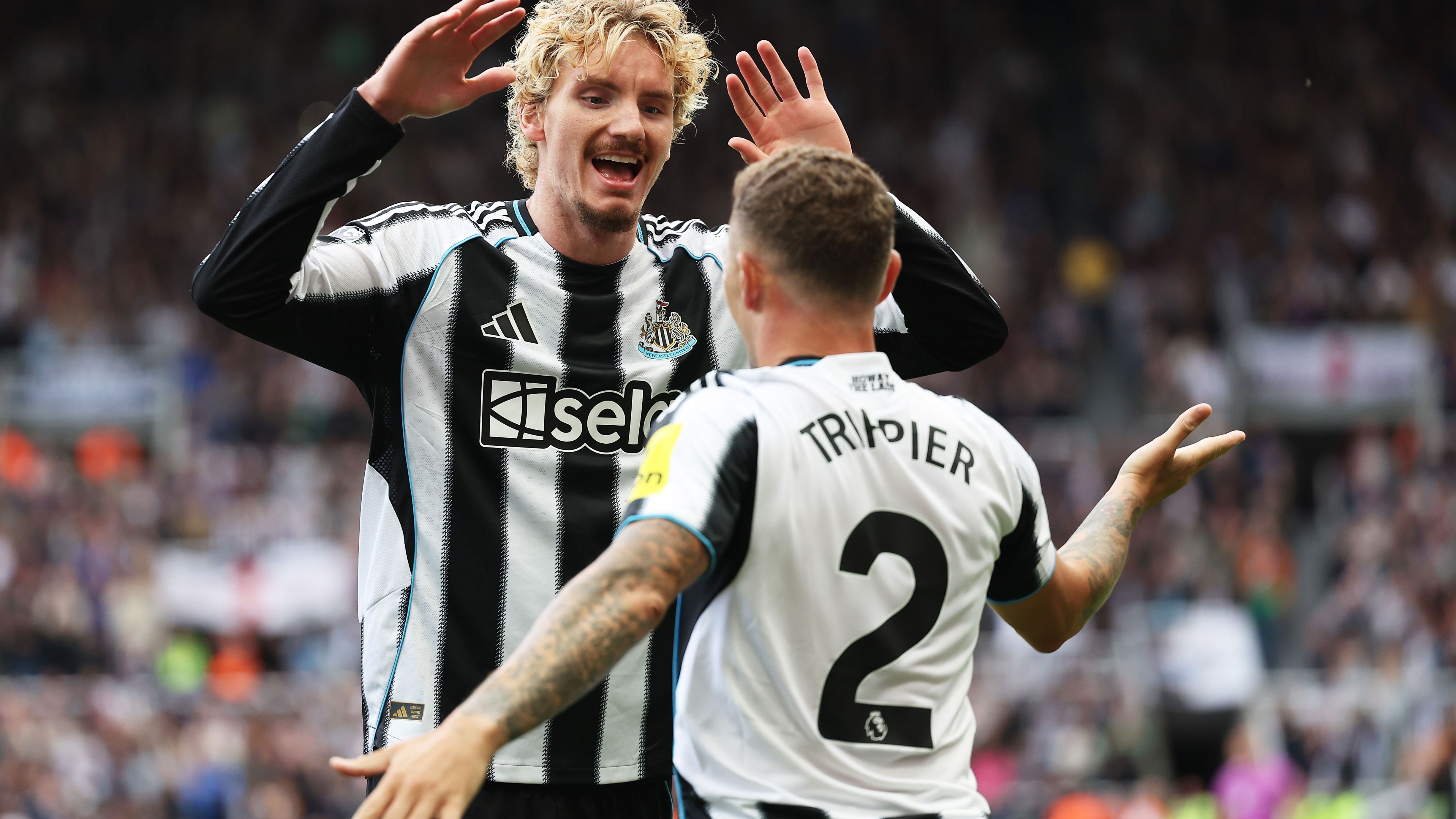 Newcastle United v Wolverhampton Wanderers - Premier League