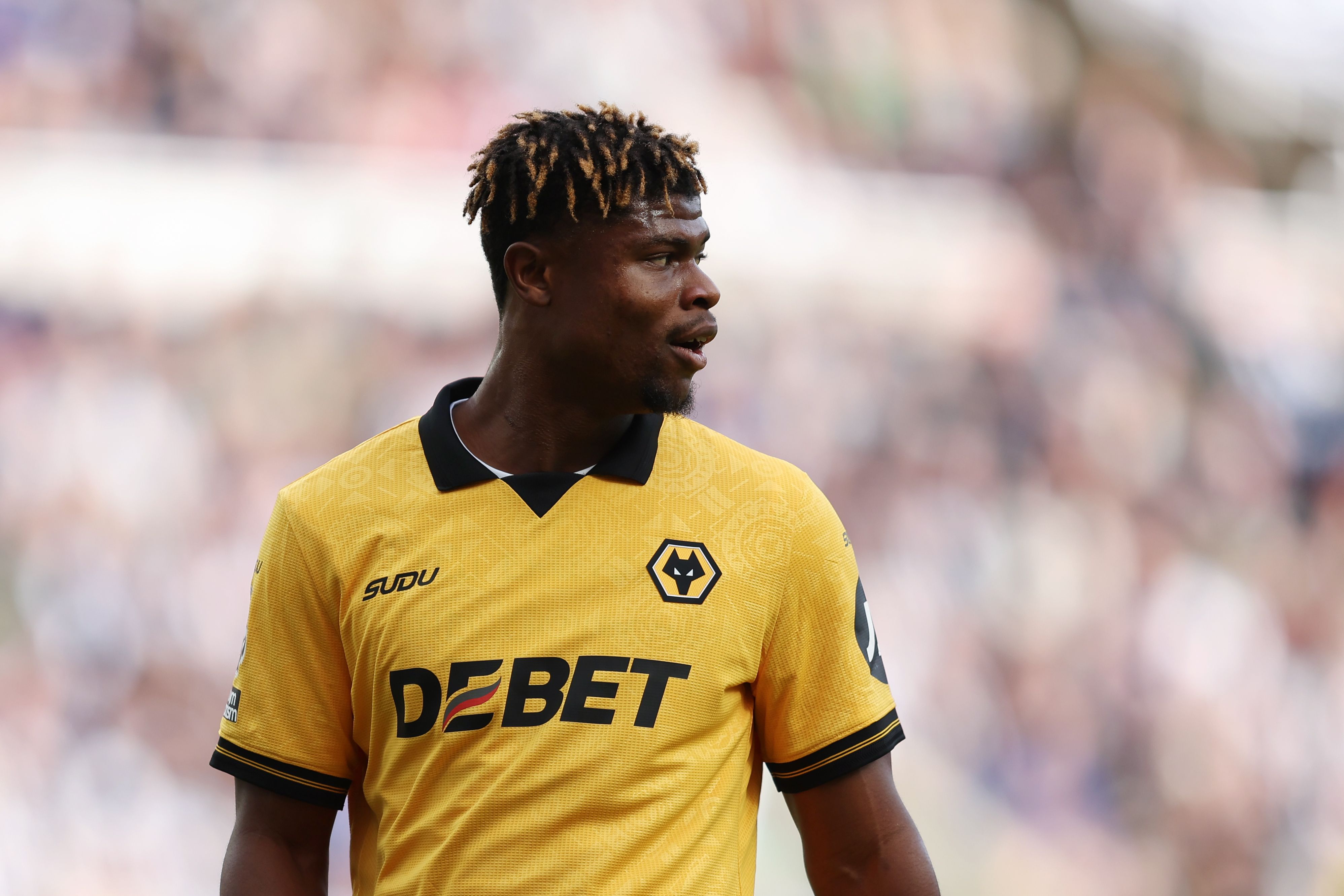 Newcastle United v Wolverhampton Wanderers - Premier League