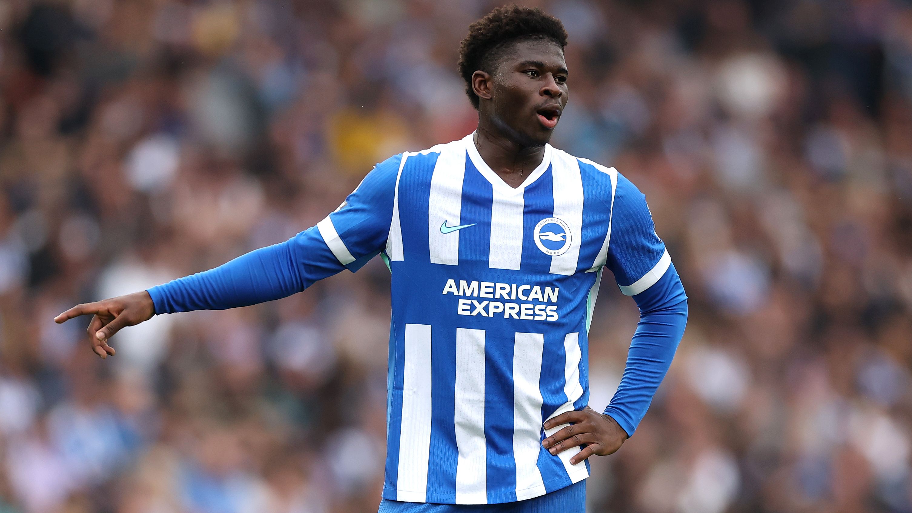 Brighton & Hove Albion v Tottenham Hotspur - Premier League