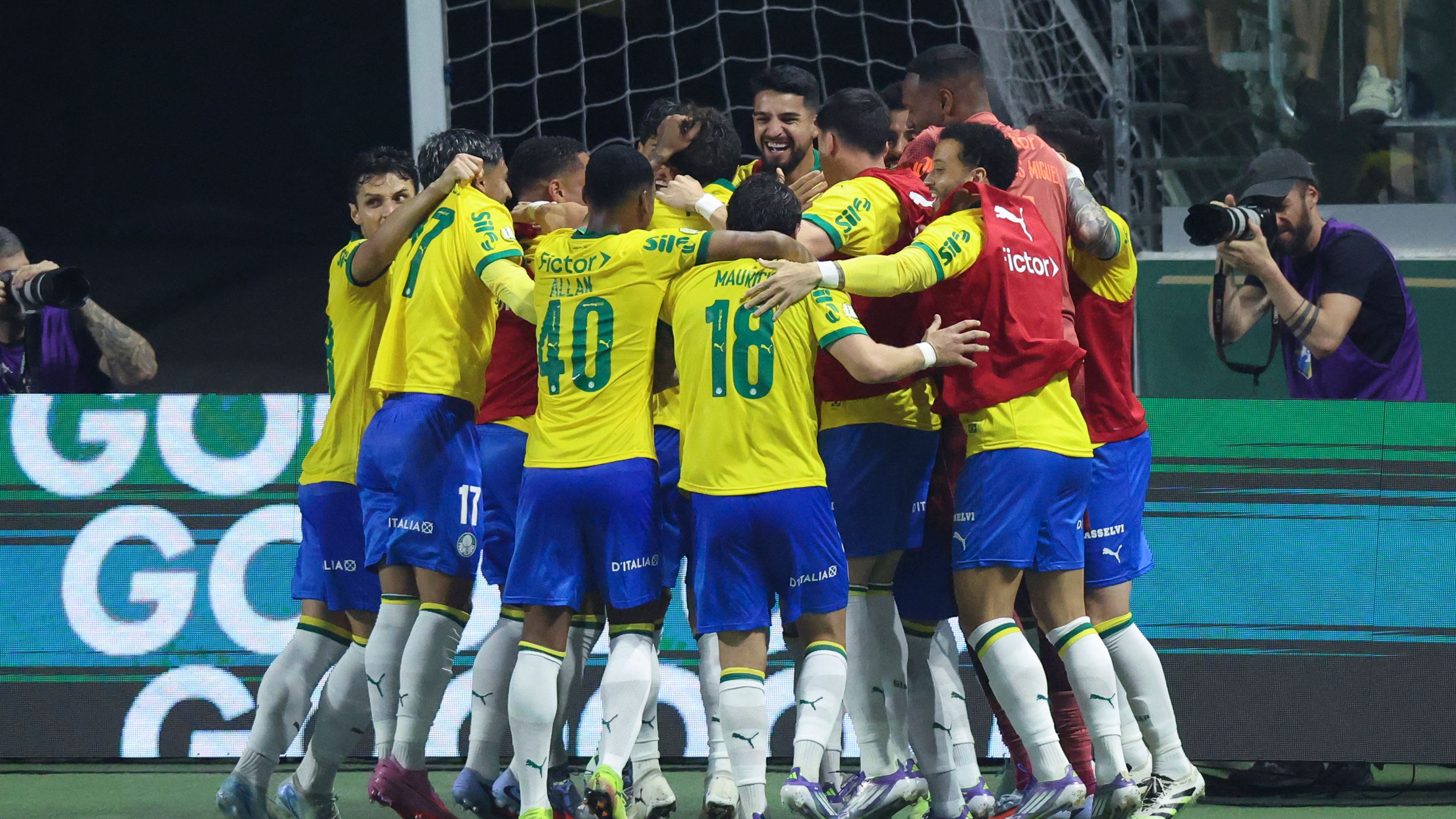 Palmeiras v Fortaleza - Brasileirao 2025