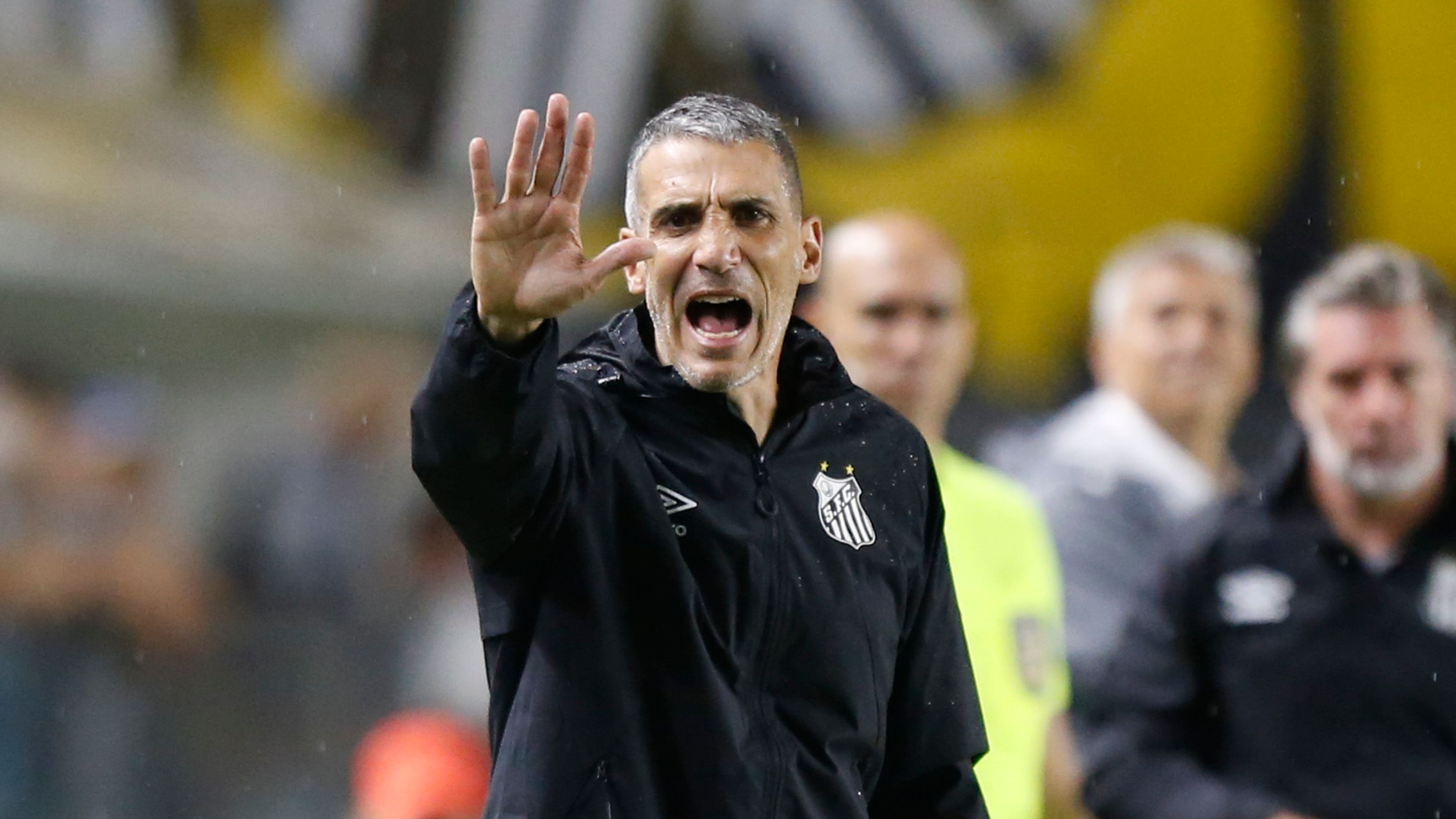 Santos v Sao Paulo - Brasileirao 2025