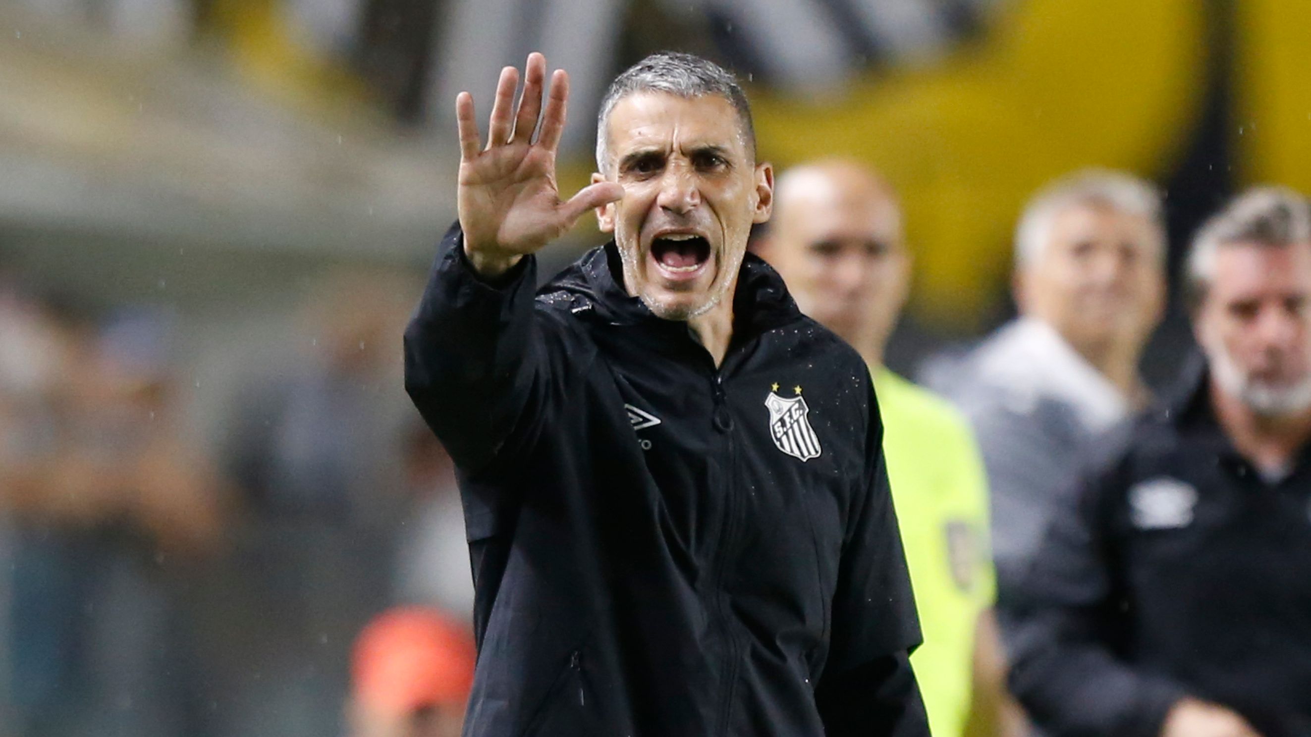 Santos v Sao Paulo - Brasileirao 2025