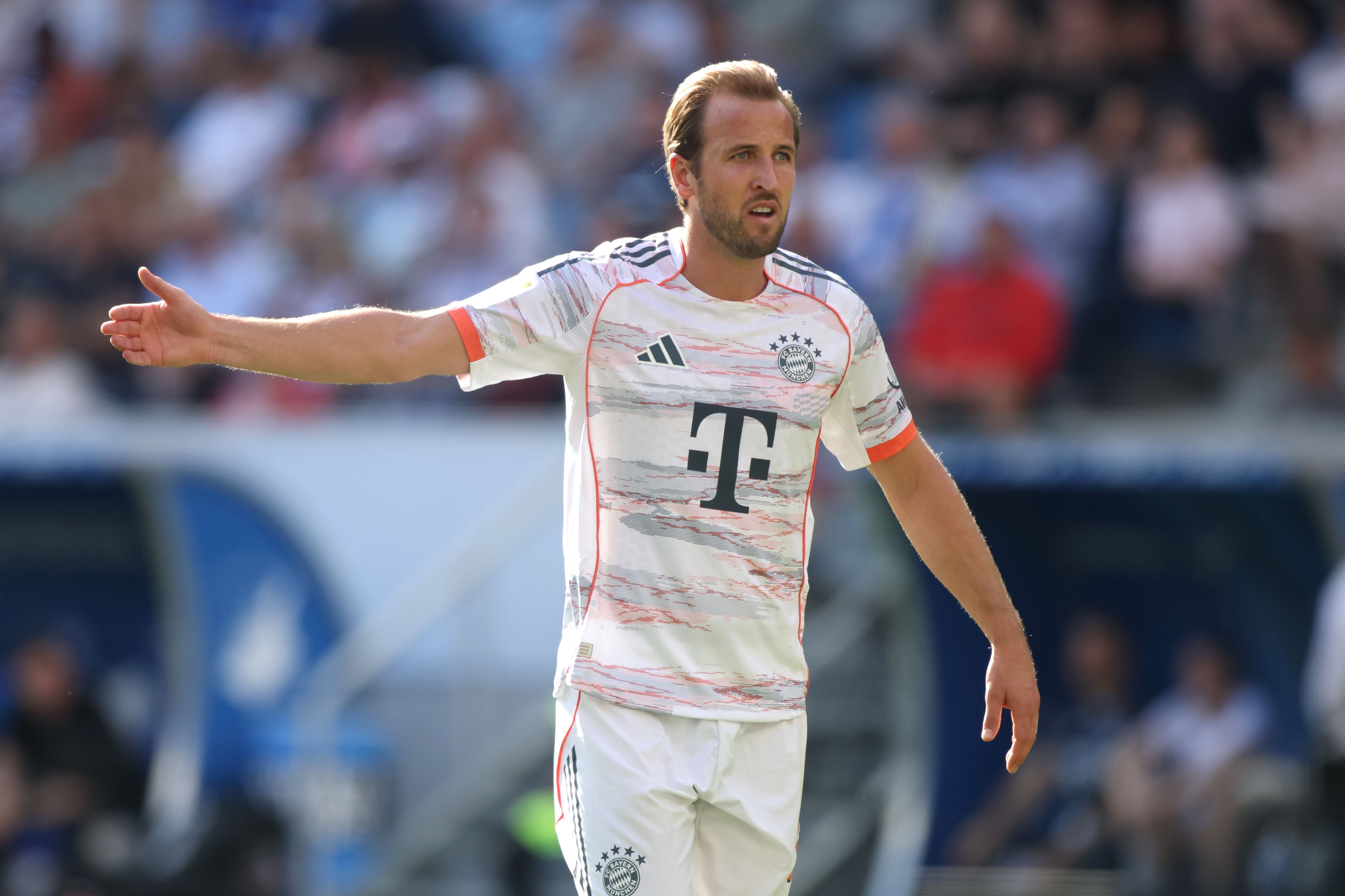 TSG Hoffenheim v FC Bayern München - Bundesliga