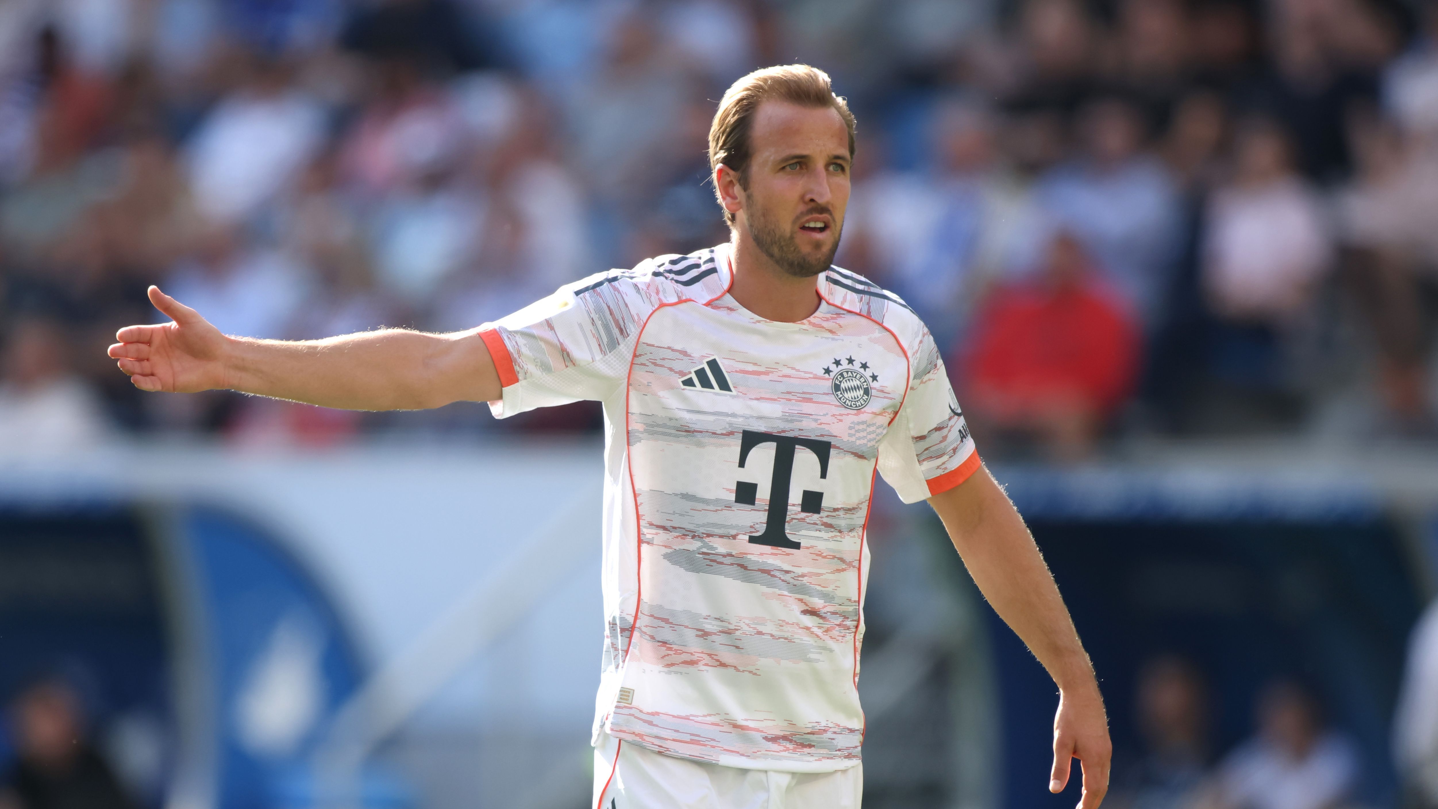 TSG Hoffenheim v FC Bayern München - Bundesliga