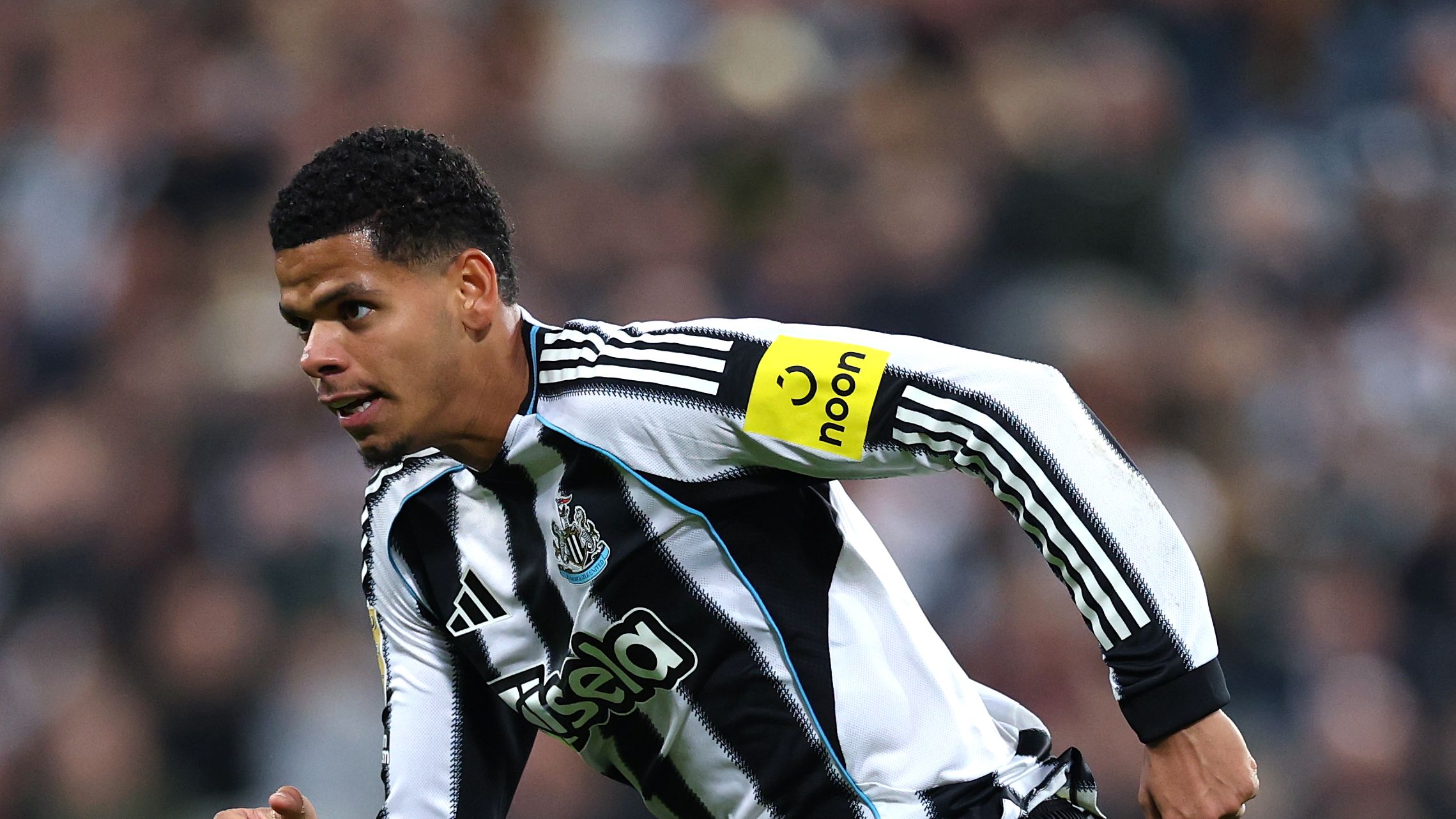 Newcastle United v Bradford City - Carabao Cup Third Round