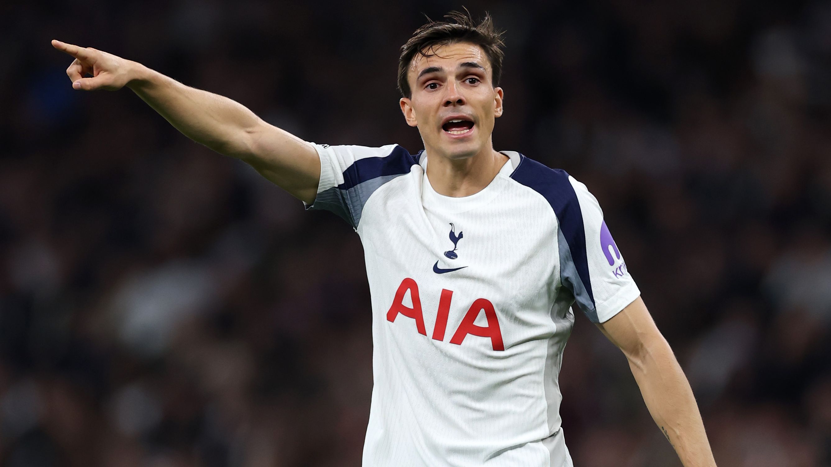 Tottenham Hotspur v Wolverhampton Wanderers - Premier League