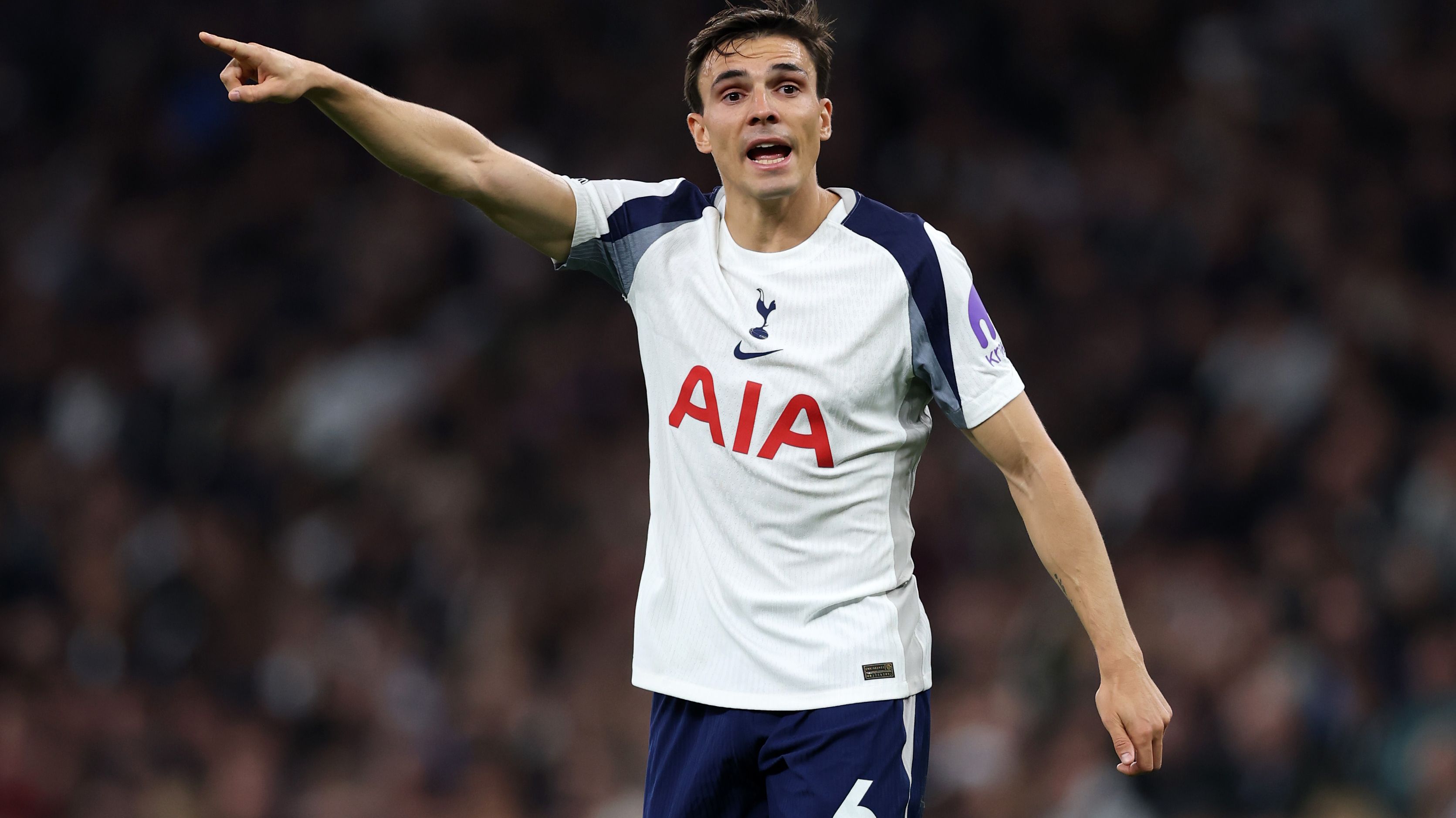 Tottenham Hotspur v Wolverhampton Wanderers - Premier League