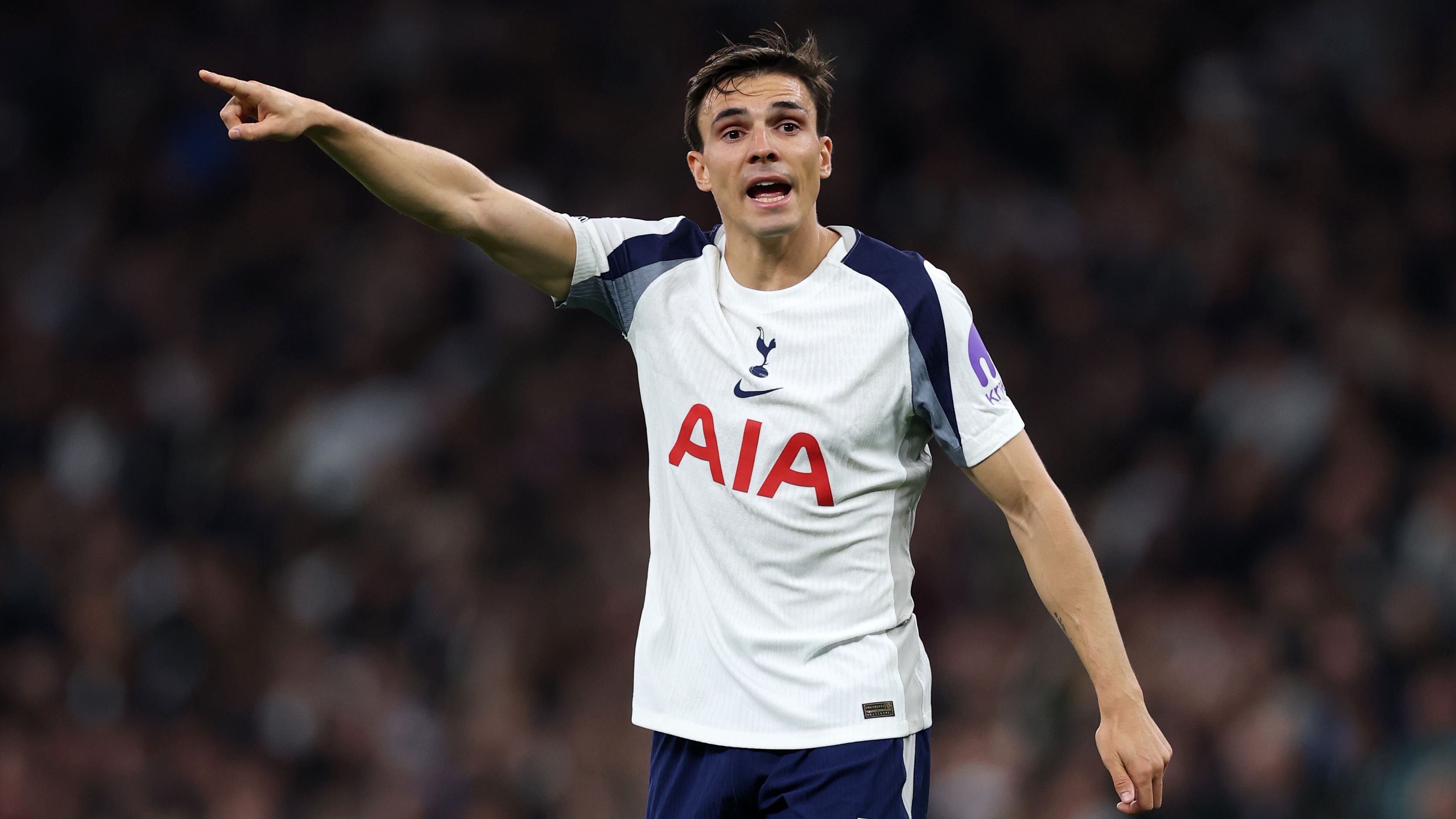 Tottenham Hotspur v Wolverhampton Wanderers - Premier League