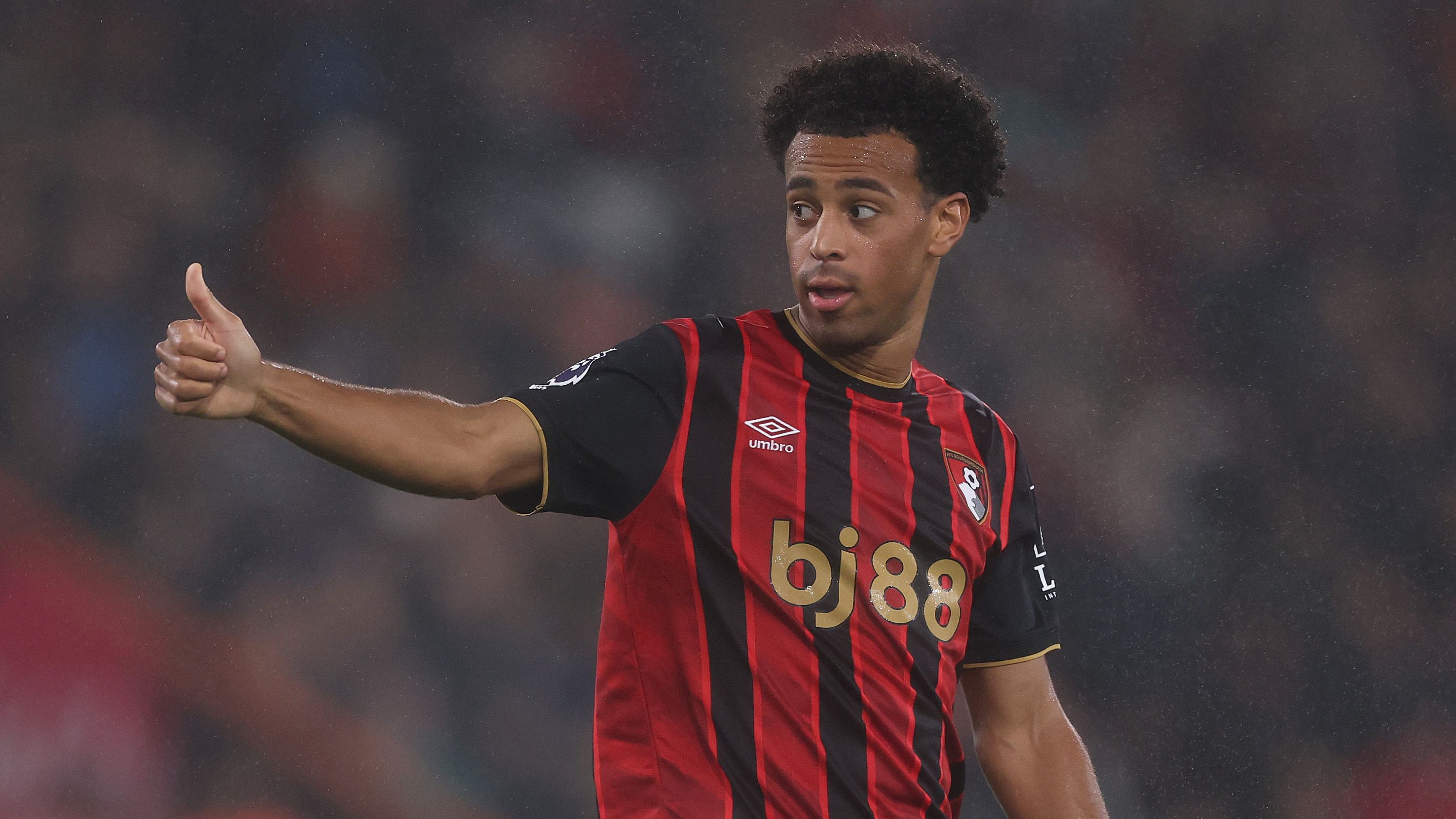 Bournemouth v Fulham - Premier League