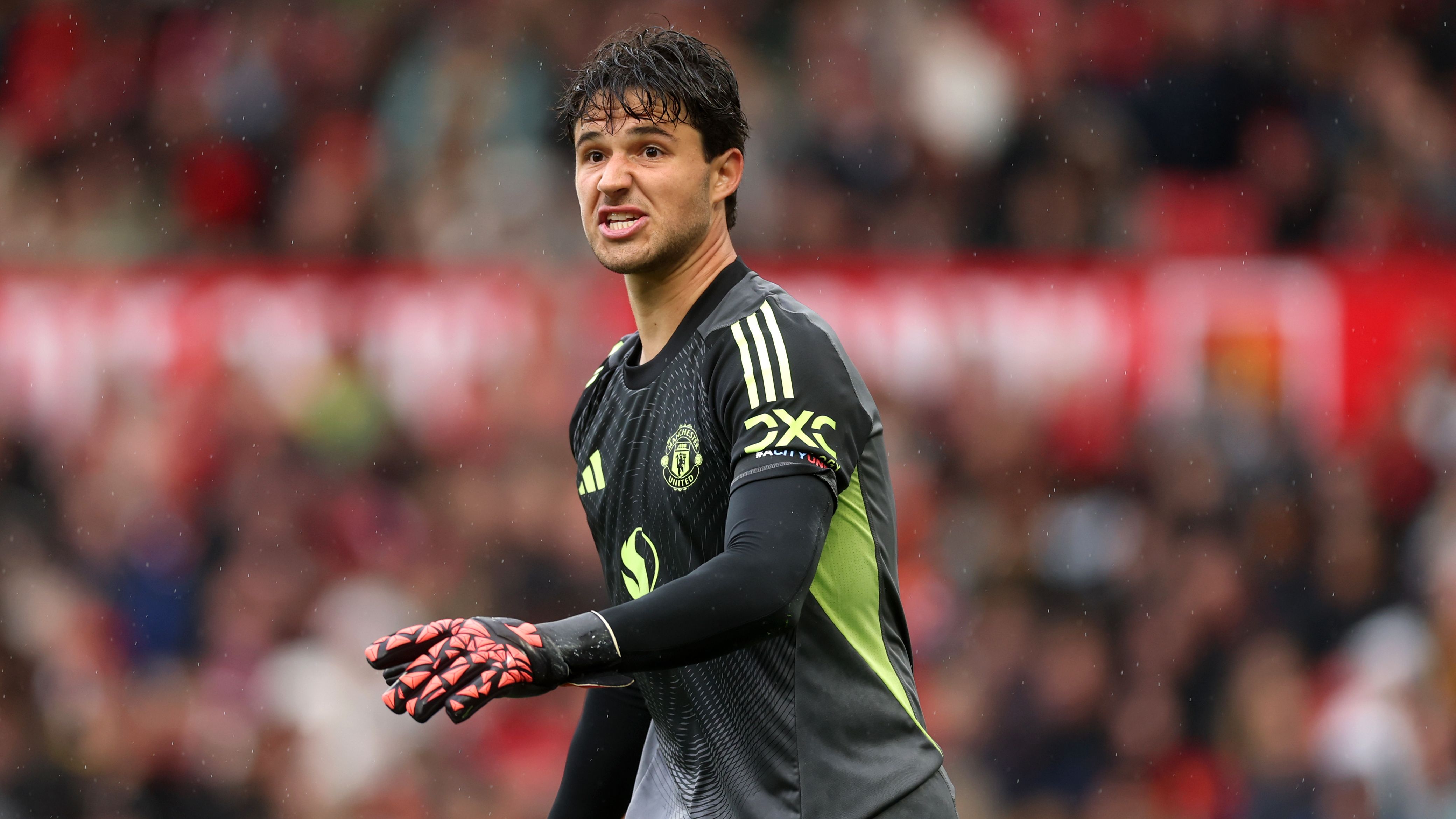 Manchester United v Sunderland - Premier League