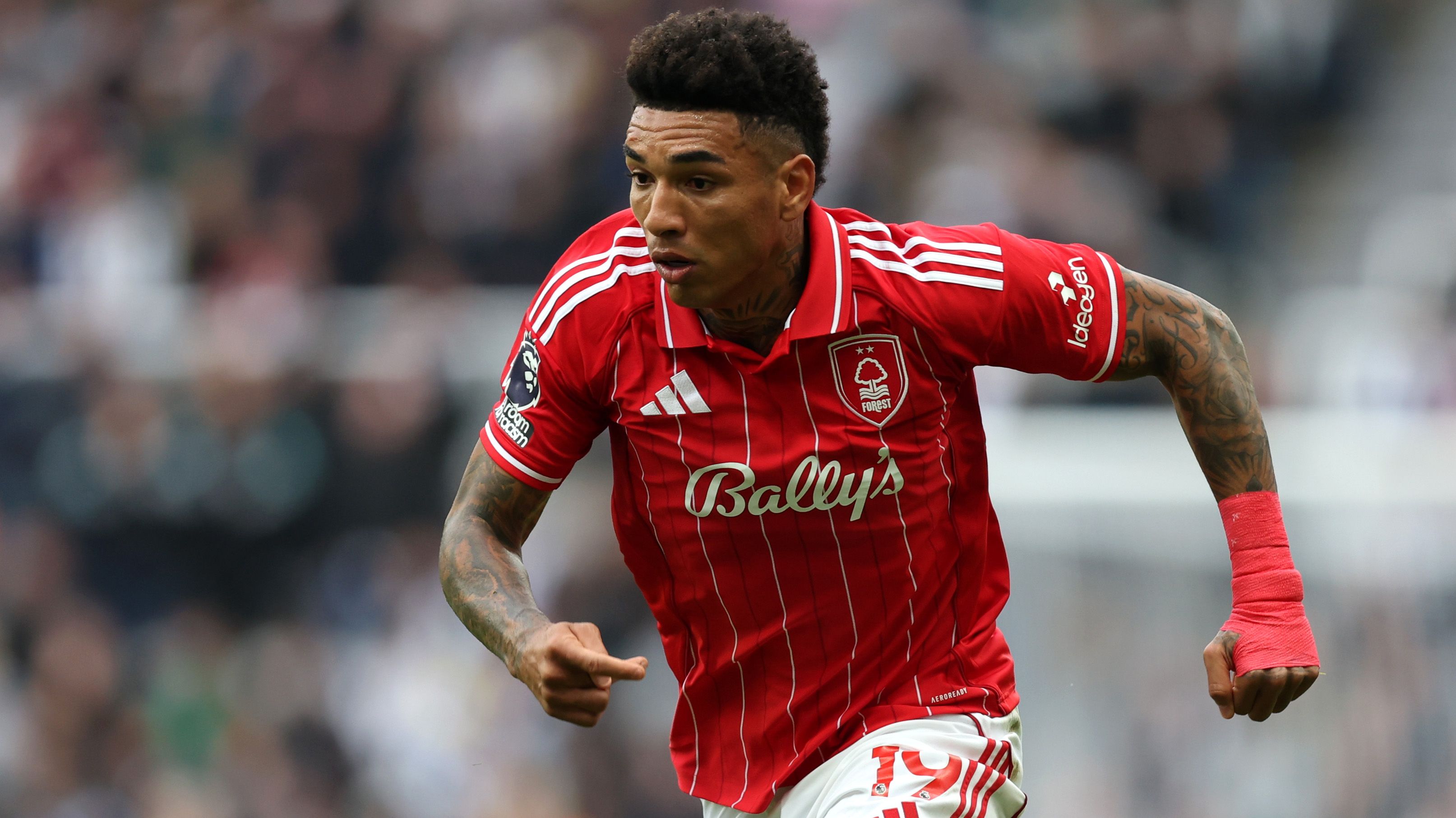 Newcastle United v Nottingham Forest - Premier League