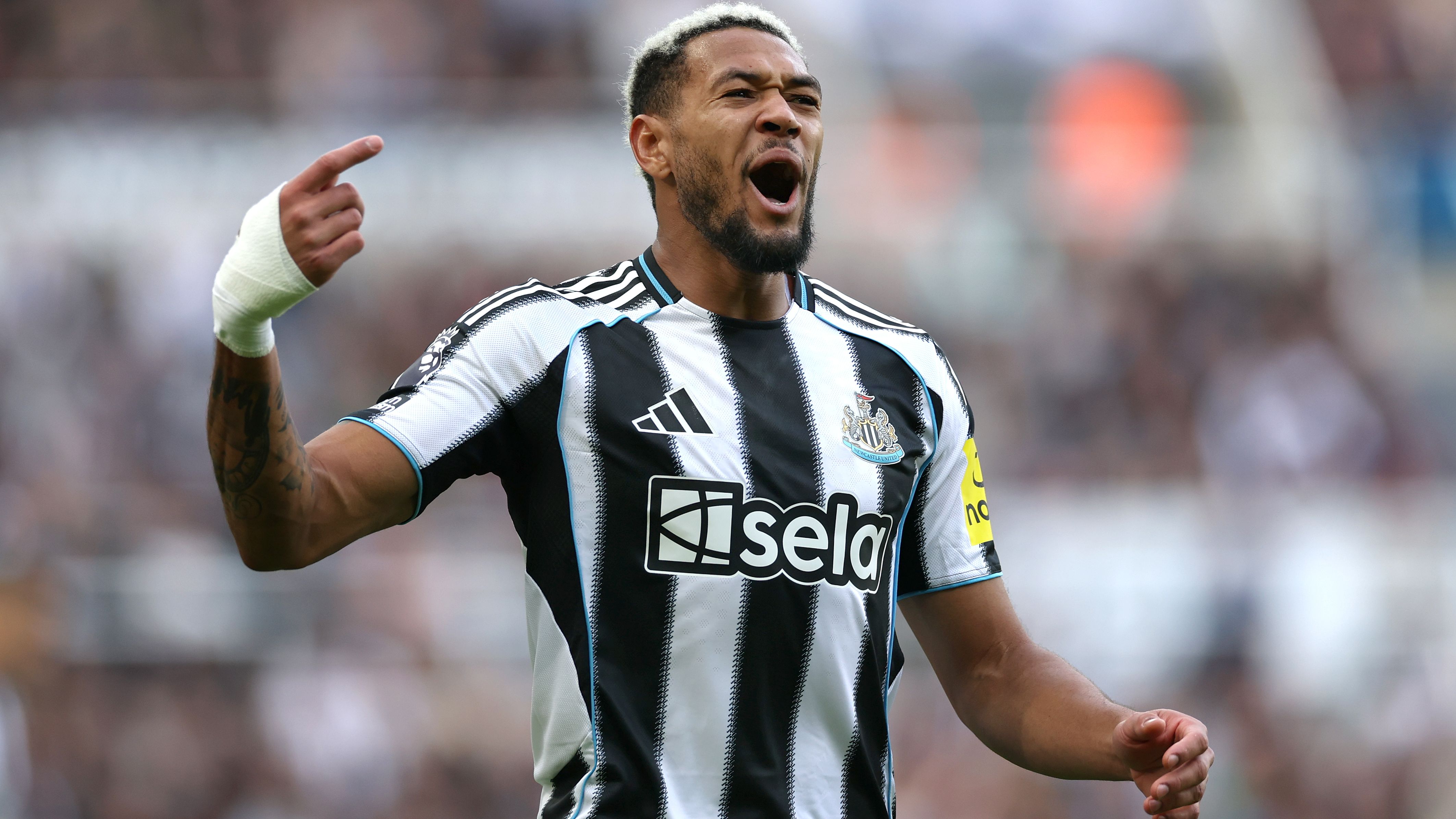 Newcastle United v Nottingham Forest - Premier League