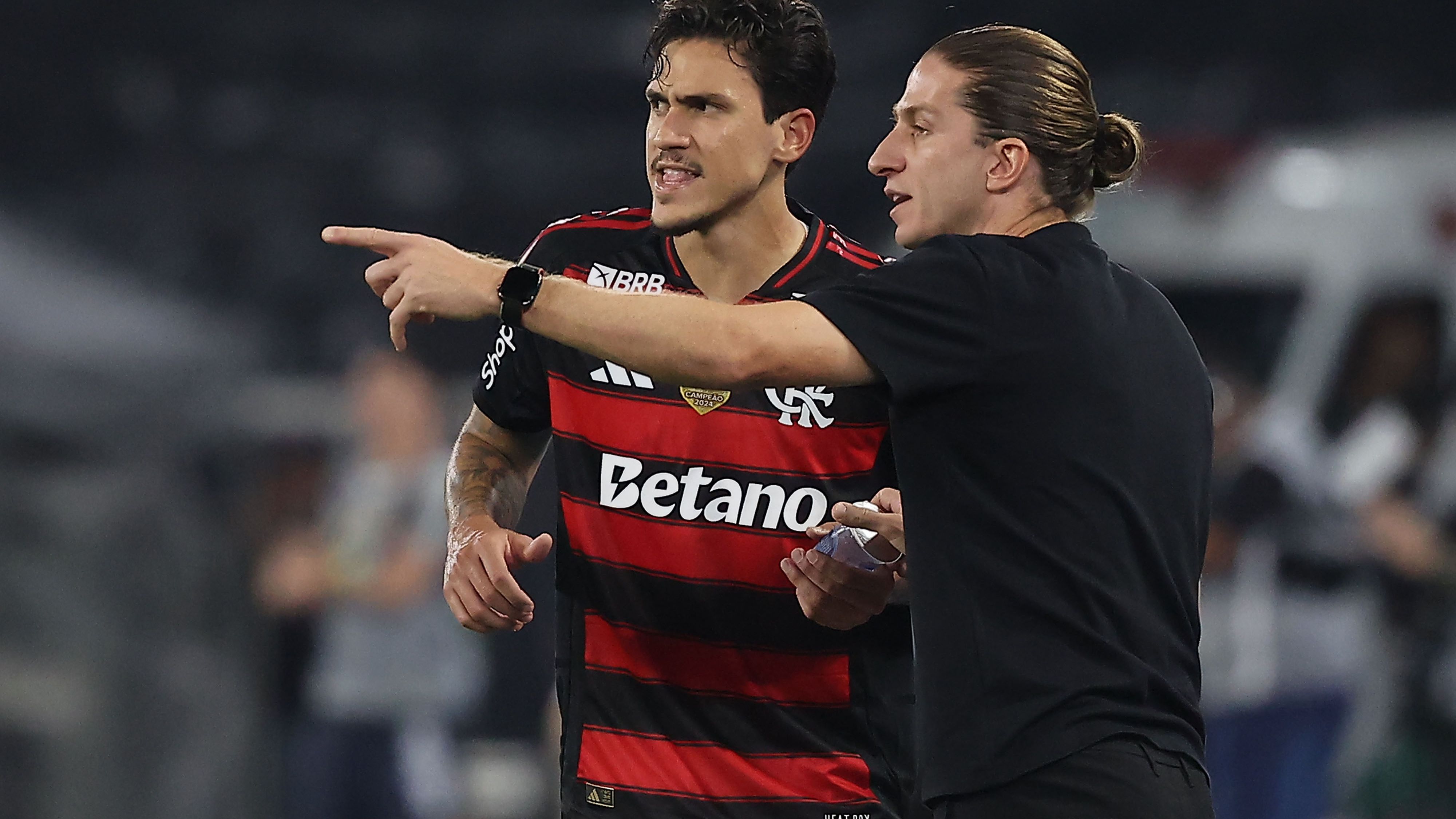 Botafogo v Flamengo - Brasileirao 2025