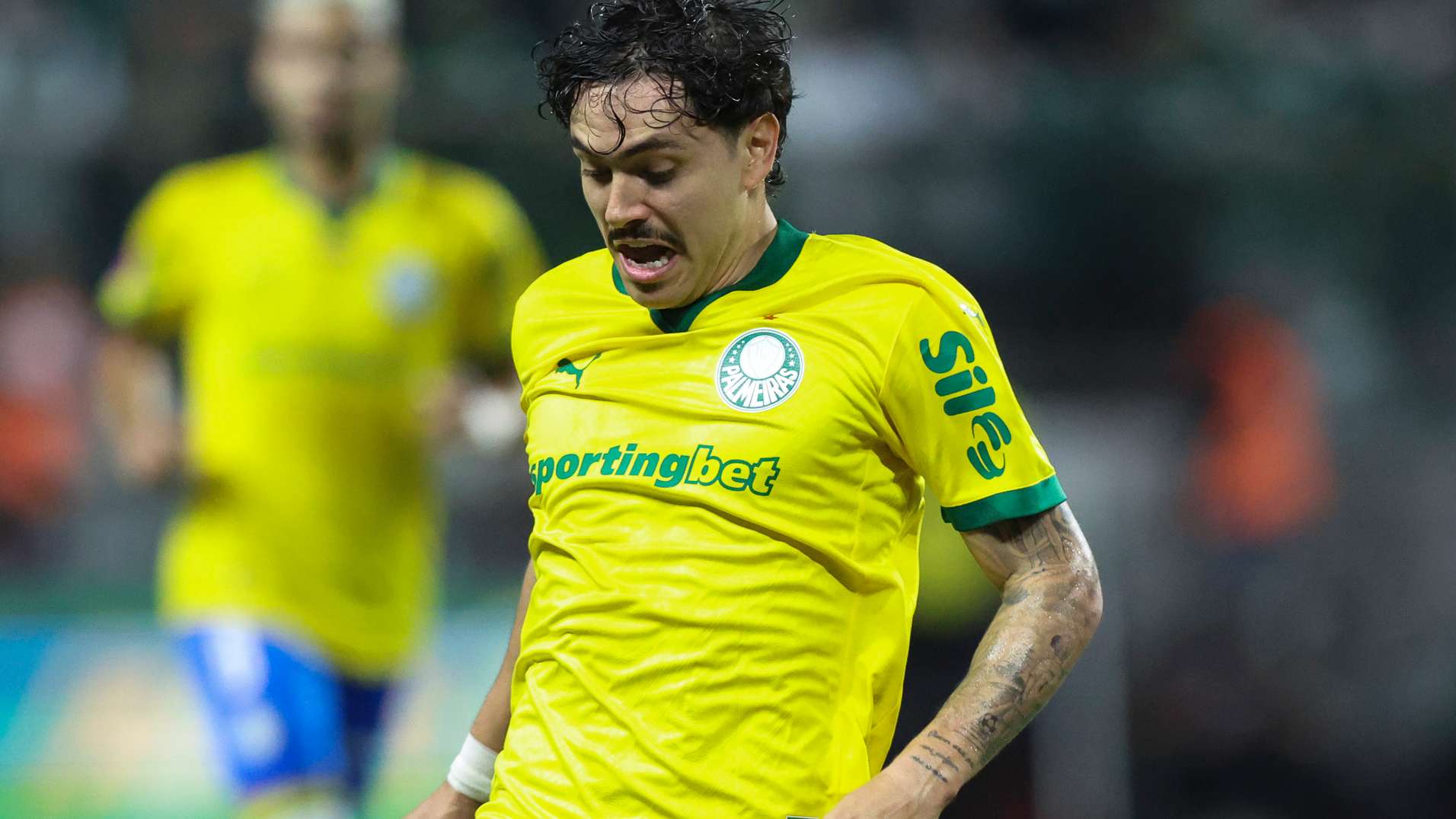 Palmeiras v Bragantino - Brasileirao 2025