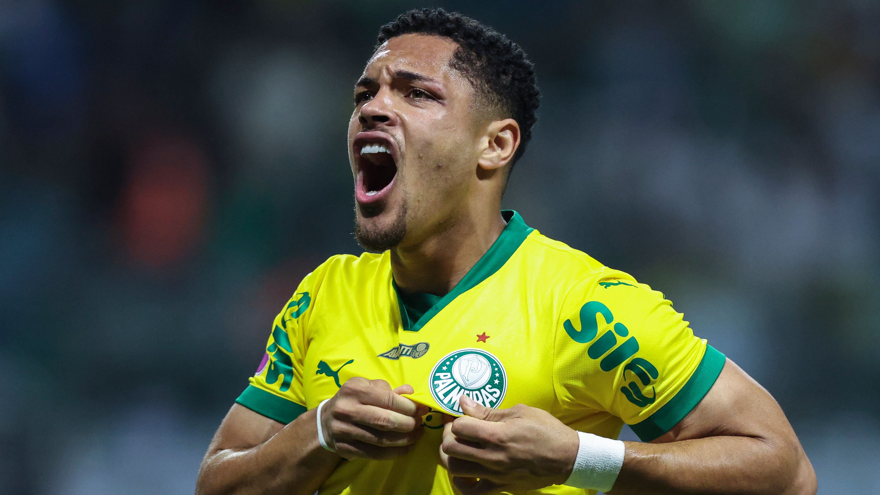 Palmeiras v Bragantino - Brasileirao 2025