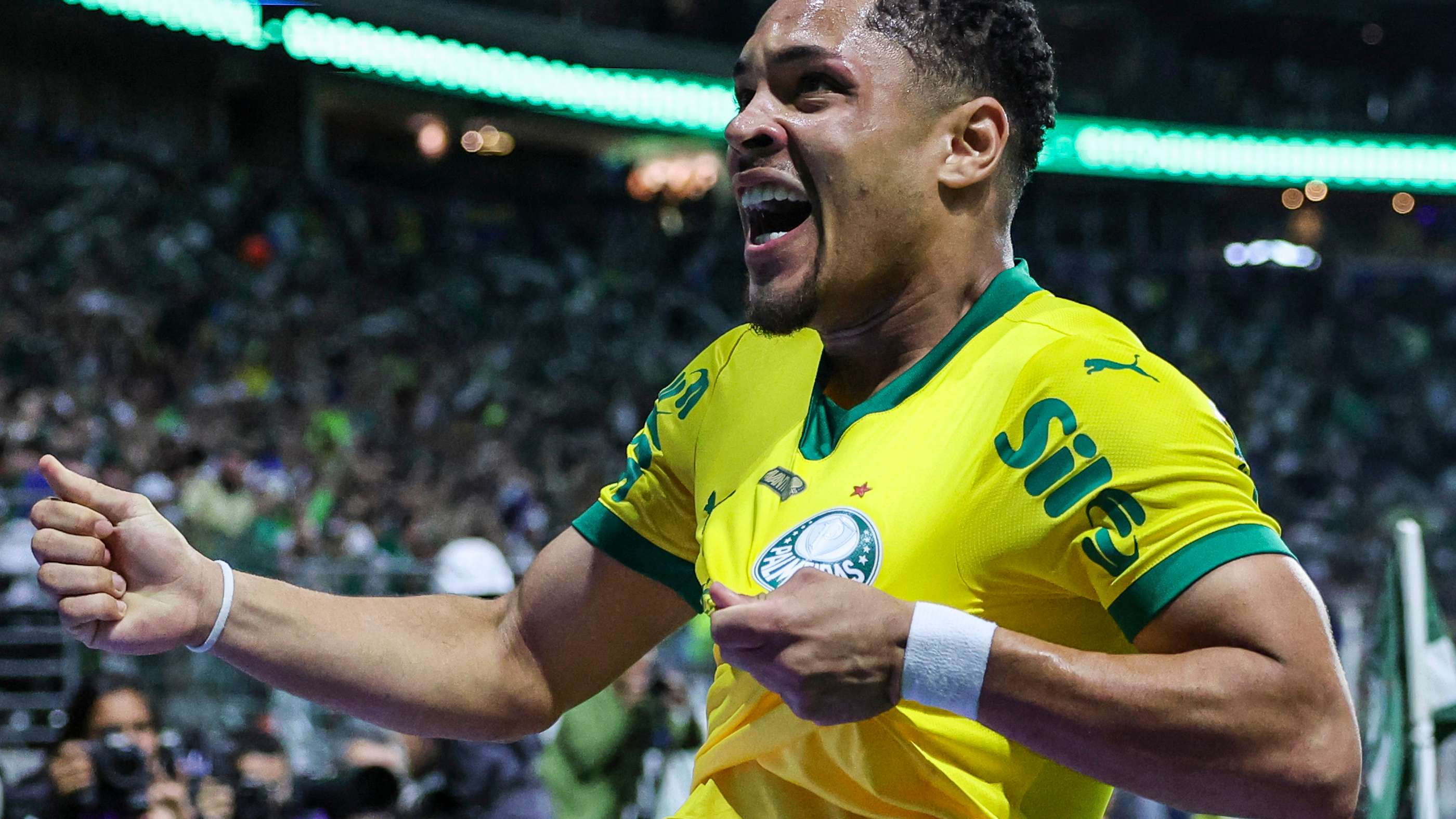 Palmeiras v Bragantino - Brasileirao 2025