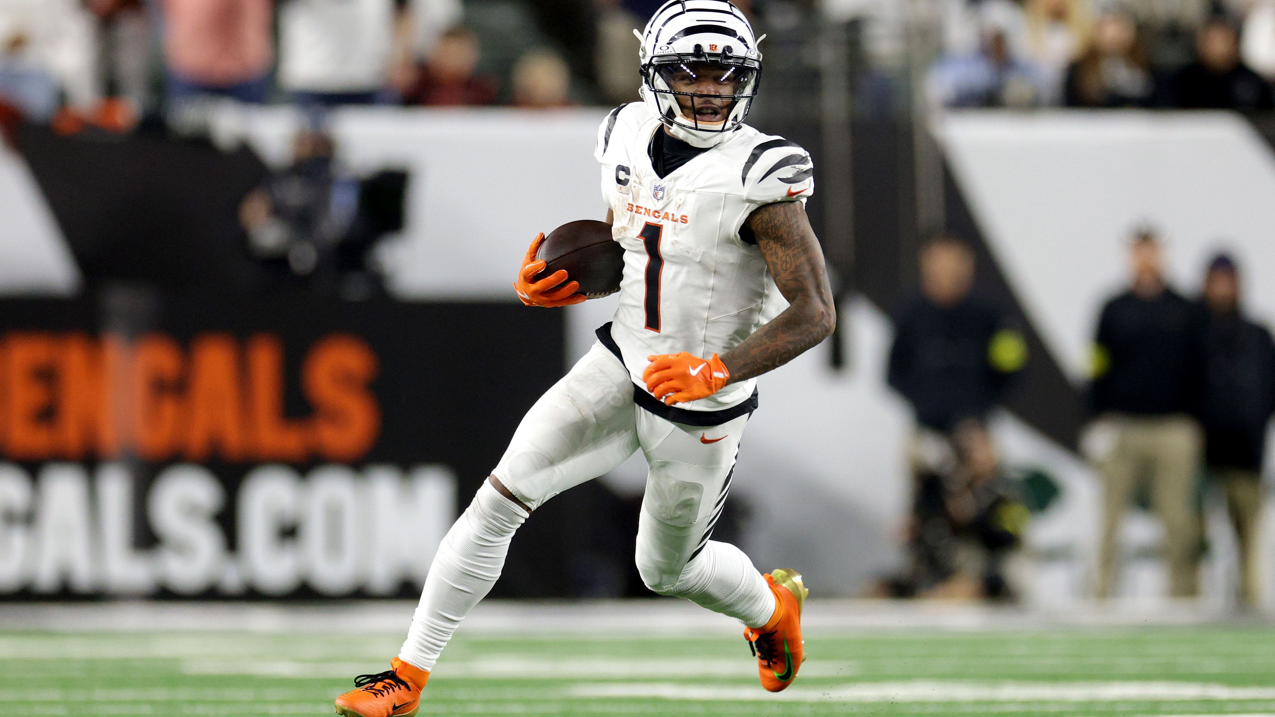 Pittsburgh Steelers v Cincinnati Bengals